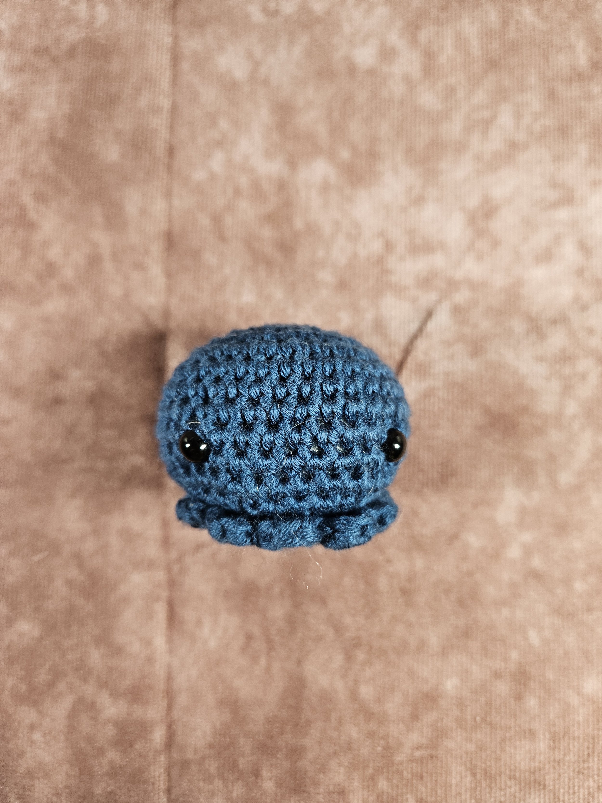 Small Blue Cuddlefish