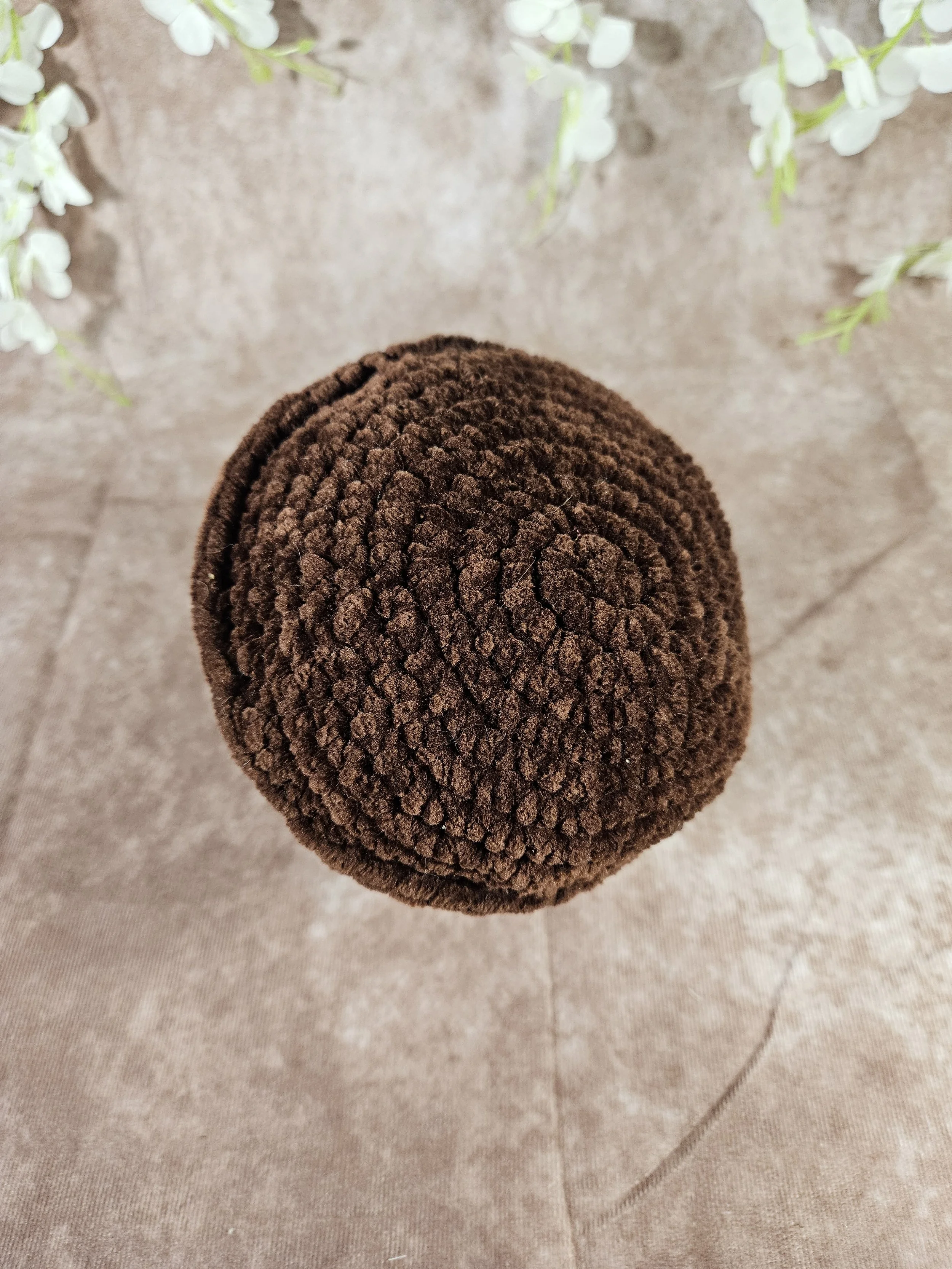 20260116_154901.jpg (Copy)