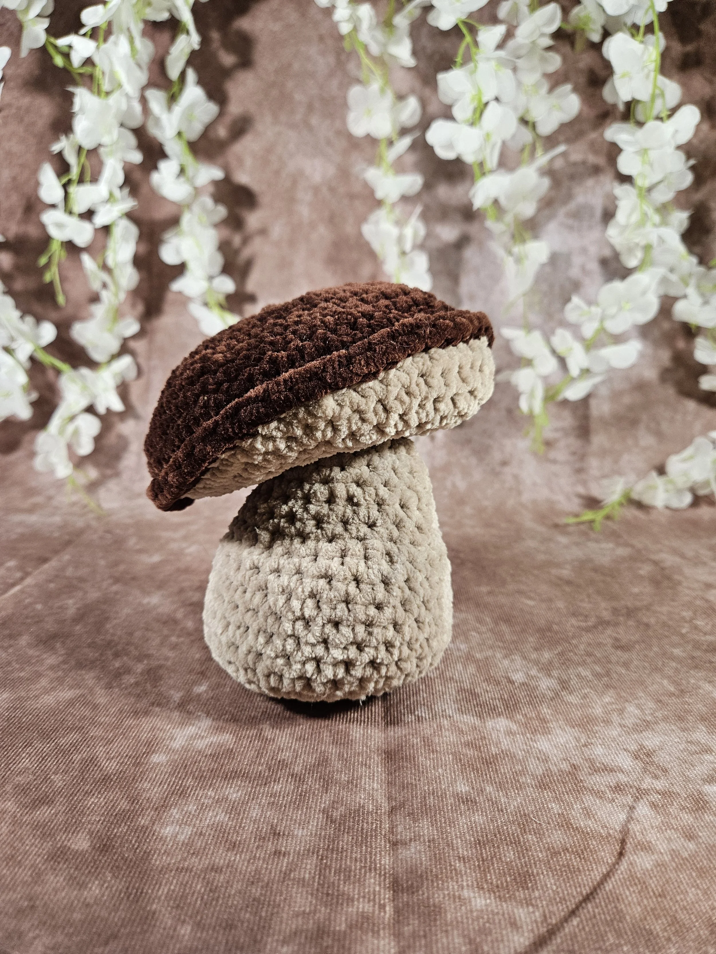 20260116_154837.jpg (Copy)