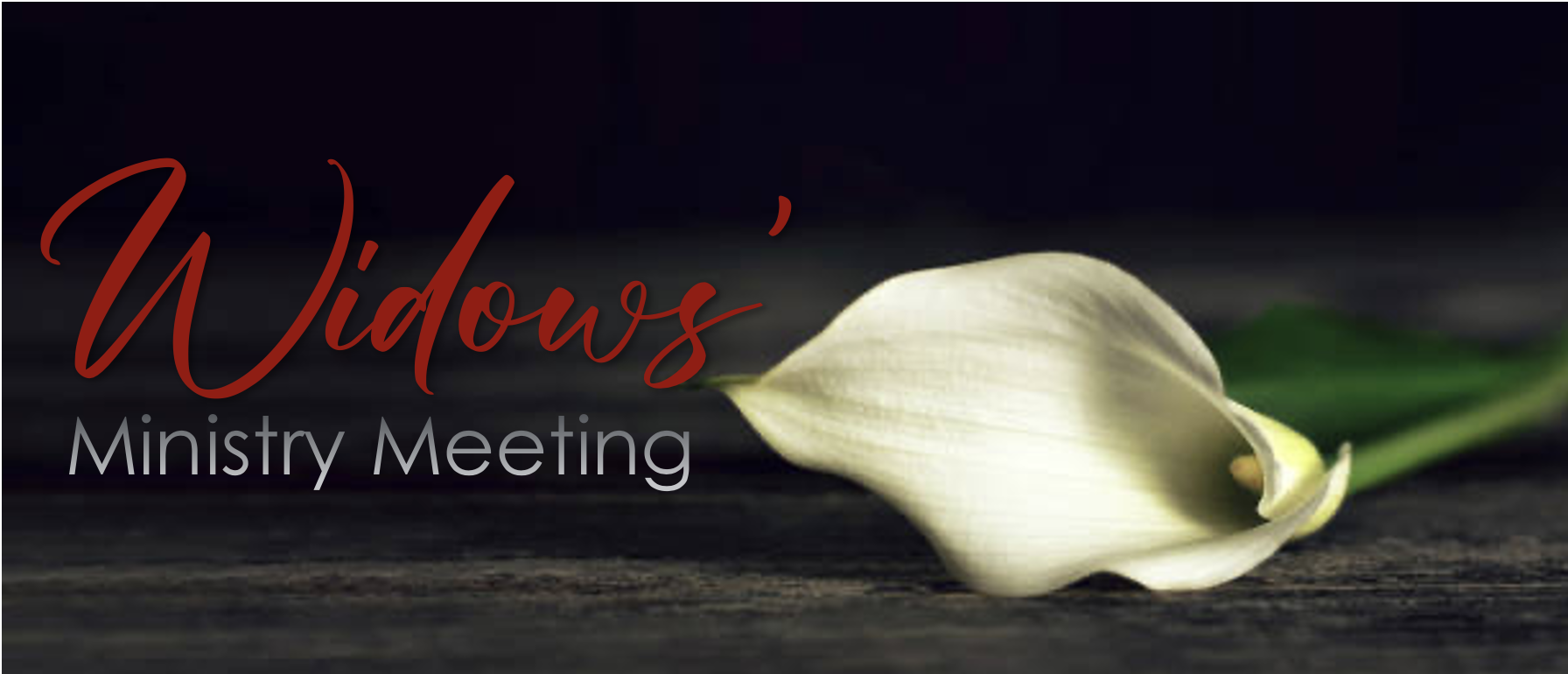 Widows’ Ministry Meeting