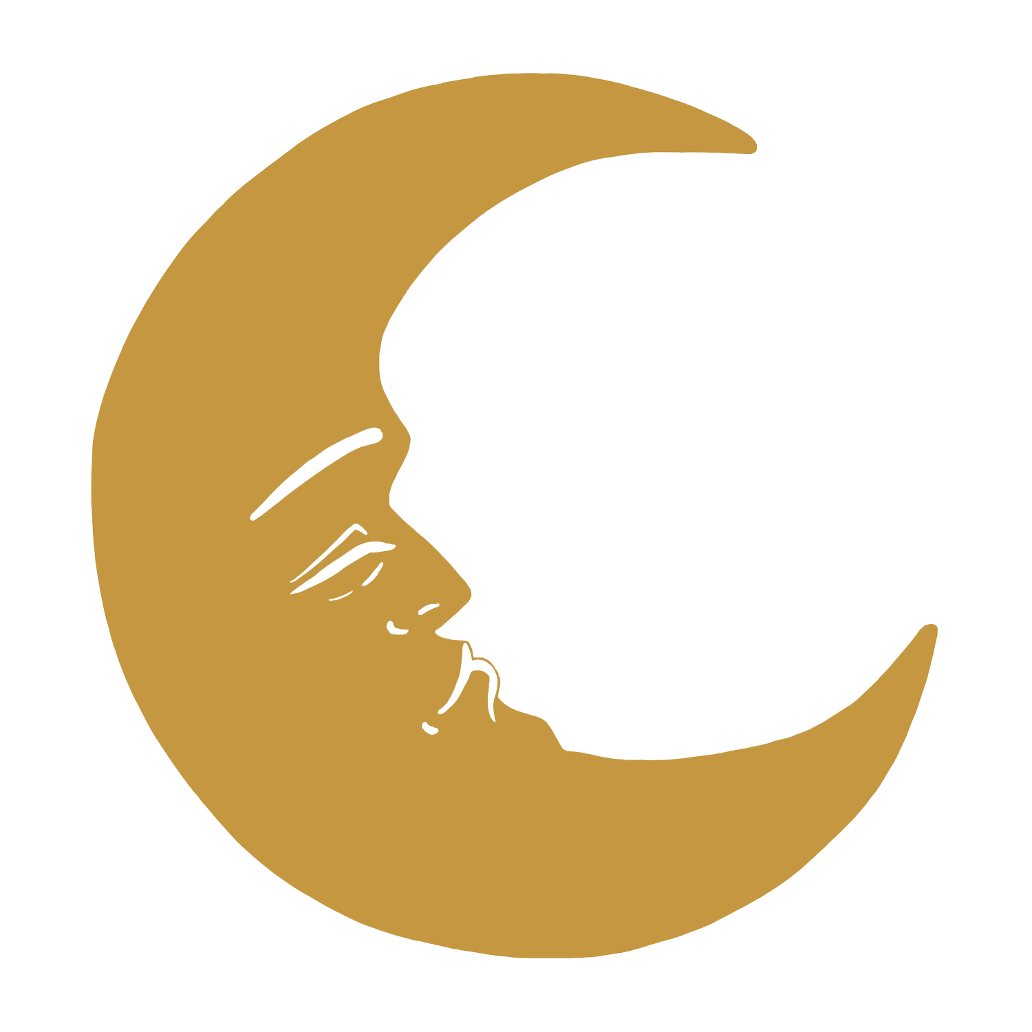 Moon Rabbit Illustration