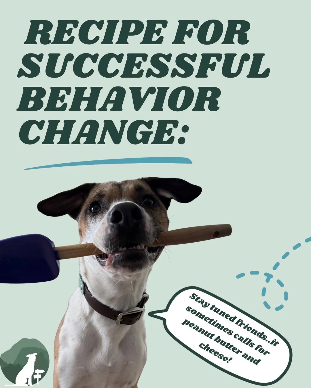 Training is just a small part of the recipe for lasting behavior change. While practice can certainly play an important role, it&rsquo;s our job as professionals to look at the bigger picture and develop a plan that extends far beyond training exerci