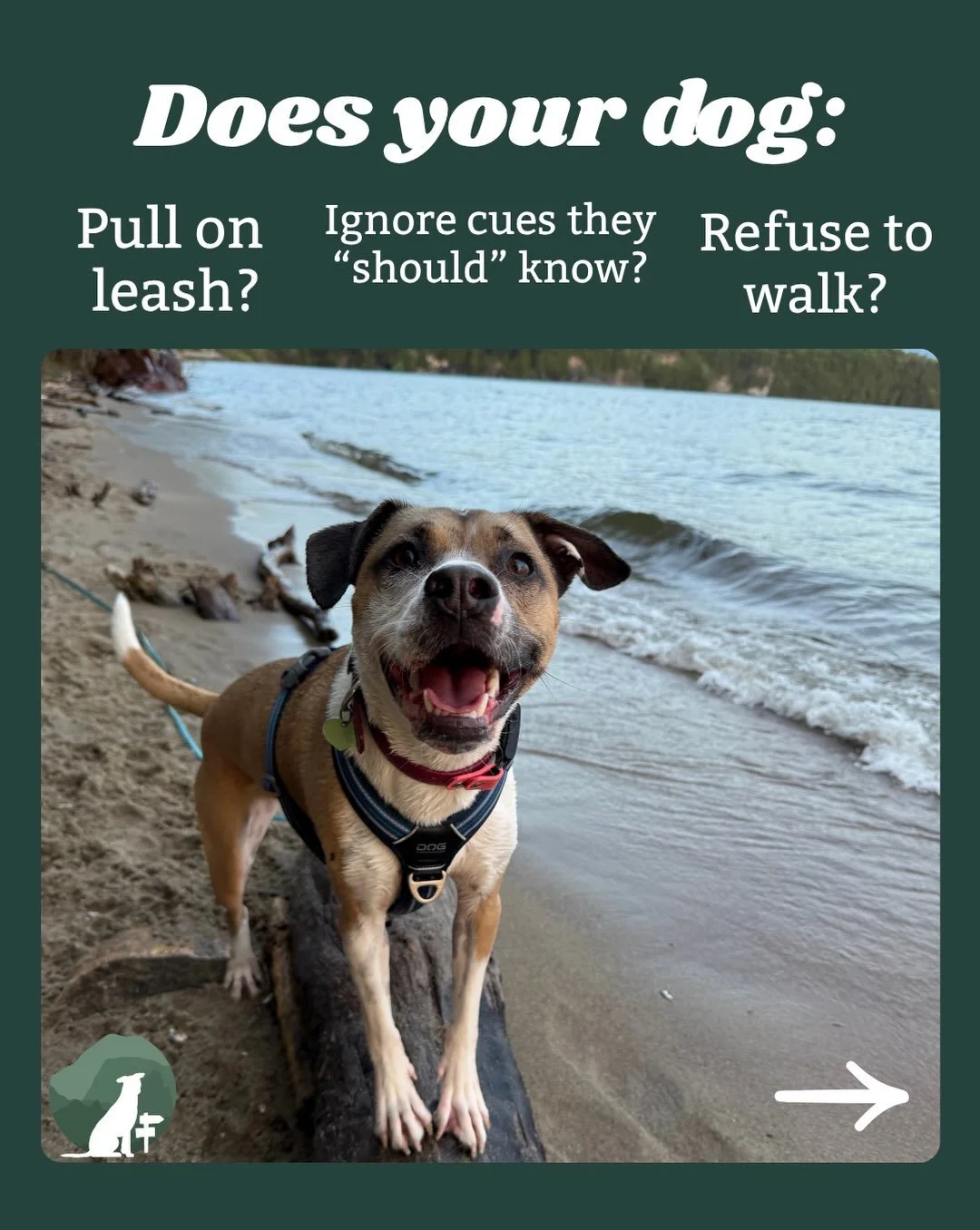Your dog isn&rsquo;t giving you a tough time for the heck of it! They&rsquo;re likely communicating that there&rsquo;s something more going on. Finding out what that thing is will help us make progress towards your goals! 🤔