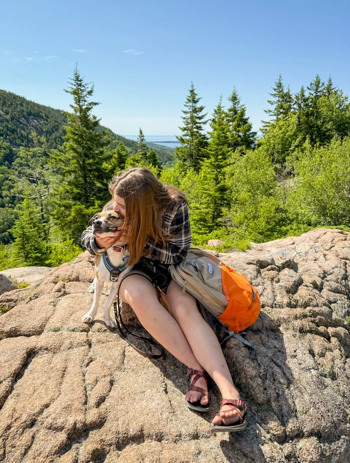 A woman hugging a dog on a rocky outcrop surrounded by lush green trees with a blue sky and distant water in the background.