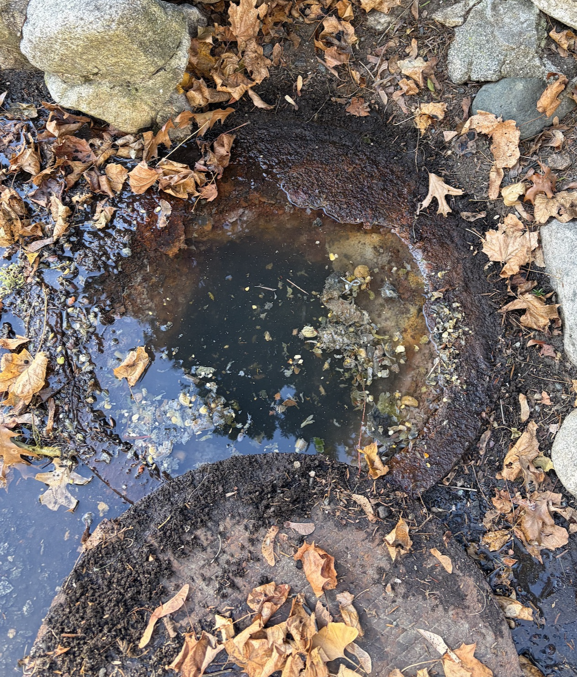 A septic tank that was overflowing that we were hired to pump.