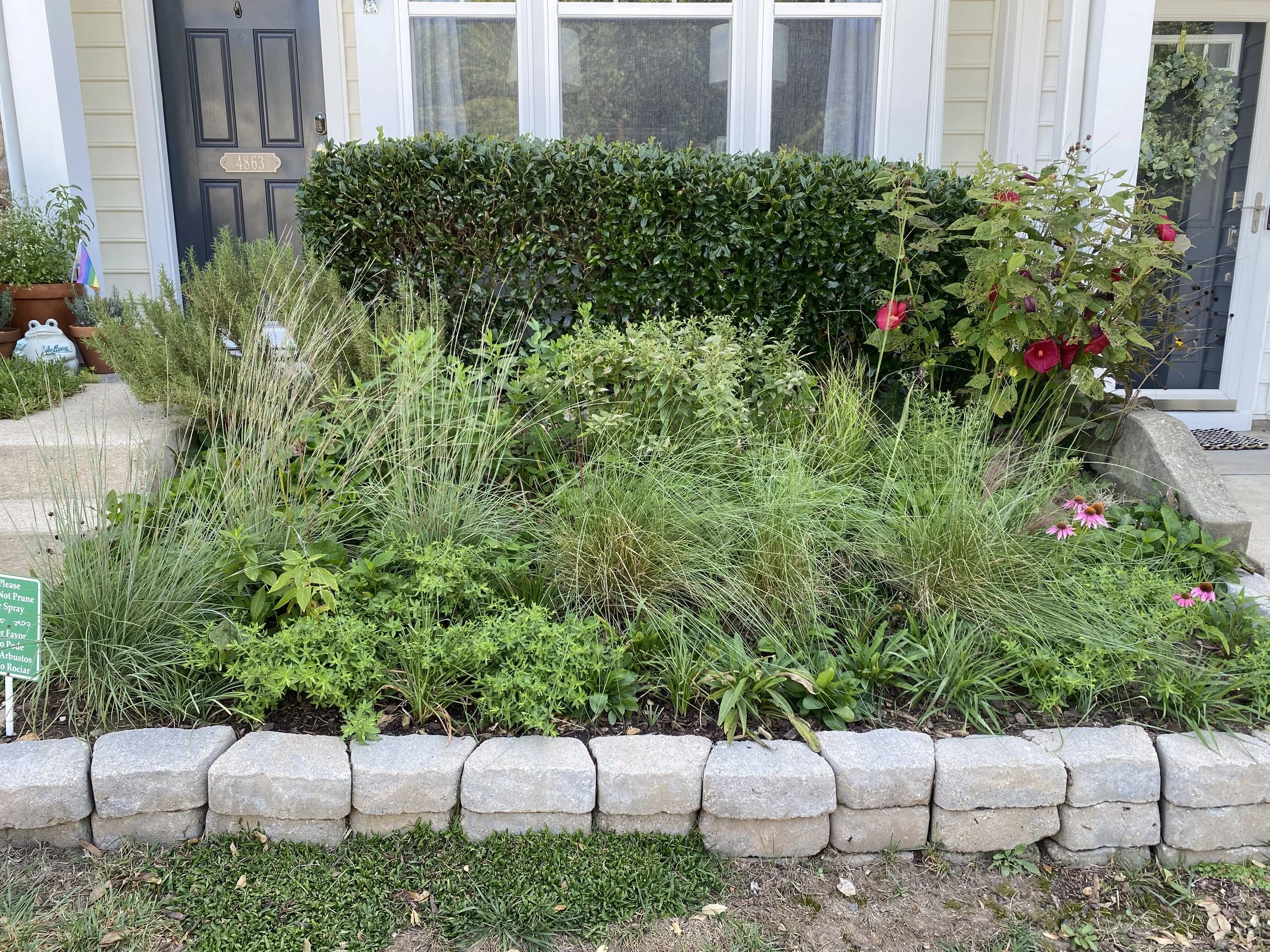 A front yard garden bed with various green plants, pink flowers, and ornamental grasses, bordered by a row of gray stones, in front of a house with a dark front door, hedge, and a screened porch.