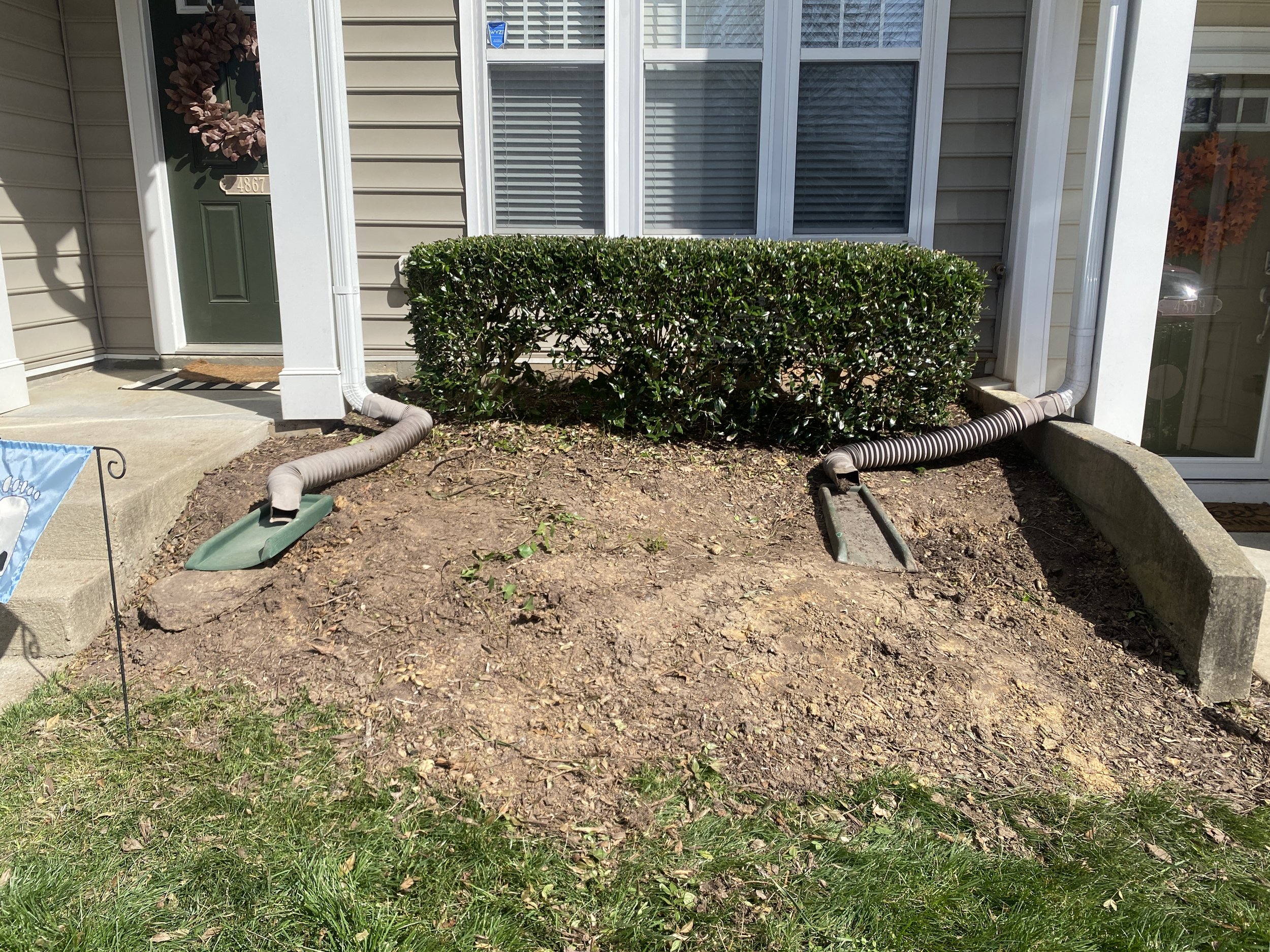 Front yard with two loose black garden hoses on the ground, one near the front steps and the other toward the right, with a green shrub in the center, beige siding house, and a door with window and window shutters.