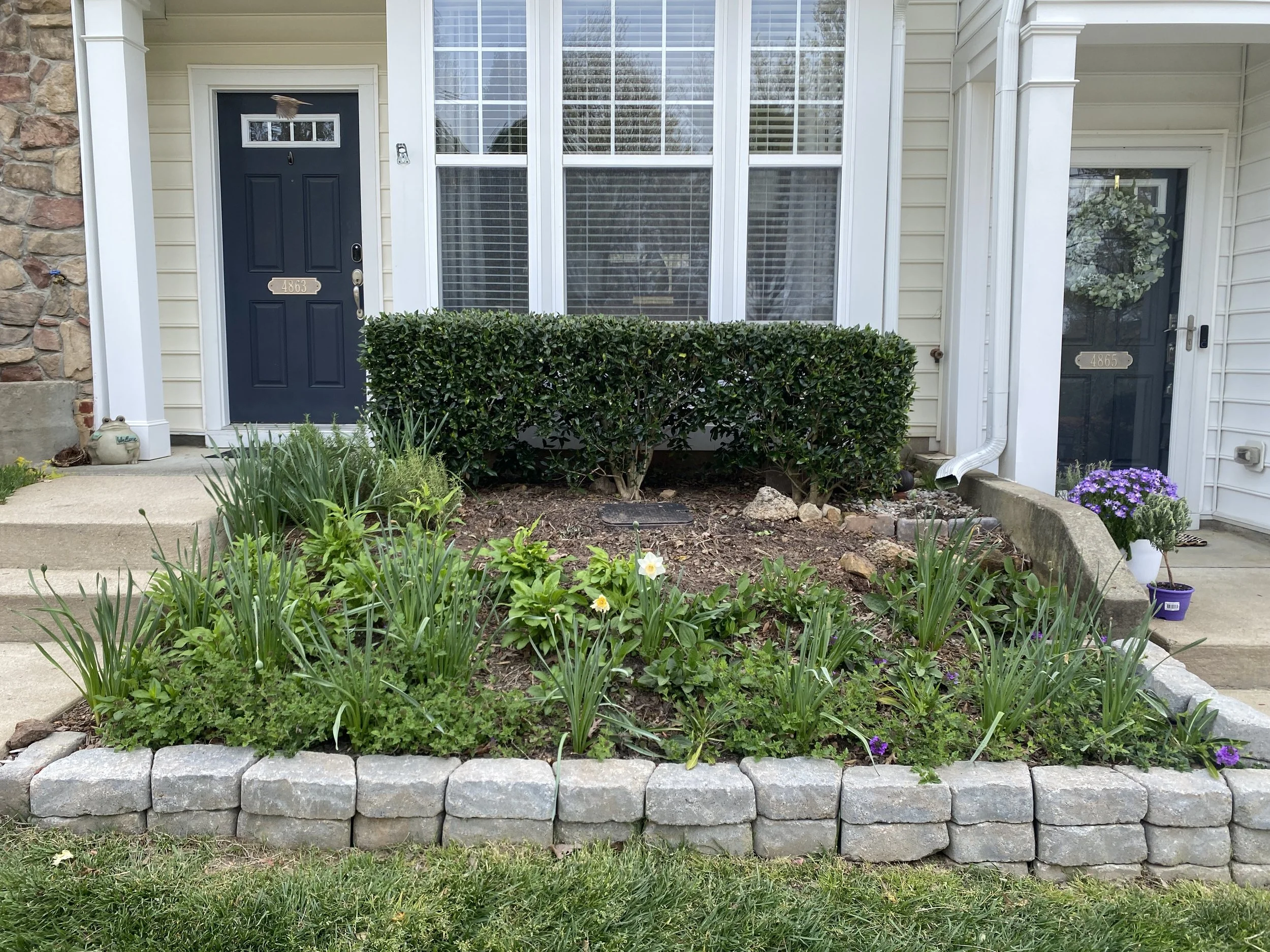 Front yard garden with green plants, flowers, shrubs, and a stone border in front of a house with two black doors, windows, and white siding.