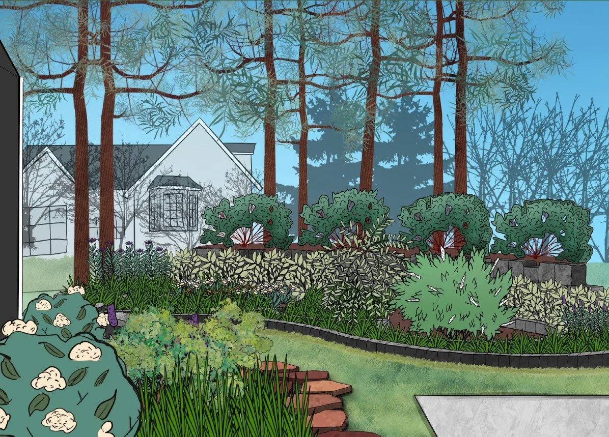 A landscaped backyard garden with bushes, trees, and a pathway leading to a house in the background.