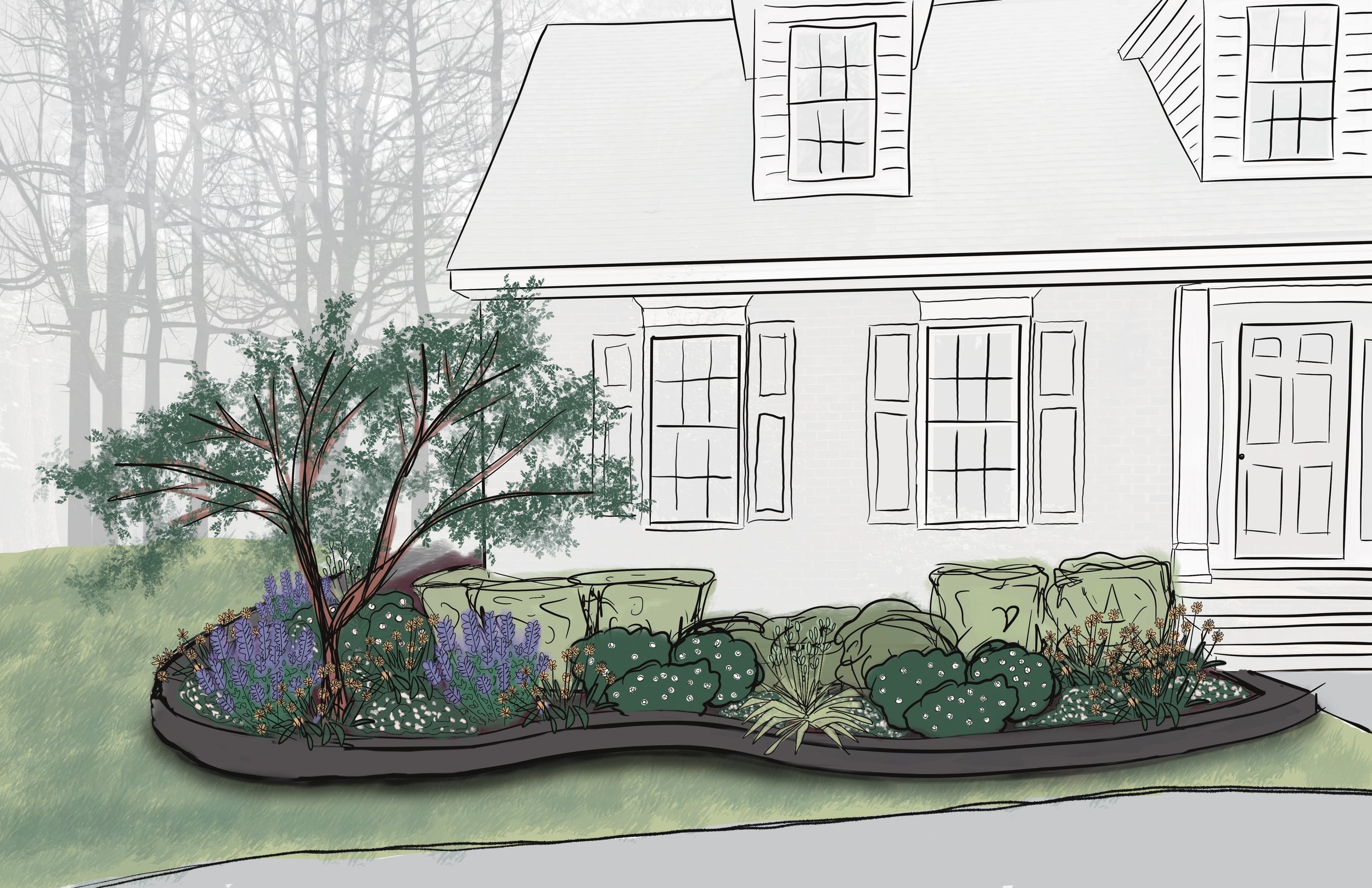 A digital illustration of a house with a front yard garden, featuring a tree, flowering plants, and shrubs, with the house exterior sketched in black and white lines and the garden in colored details.