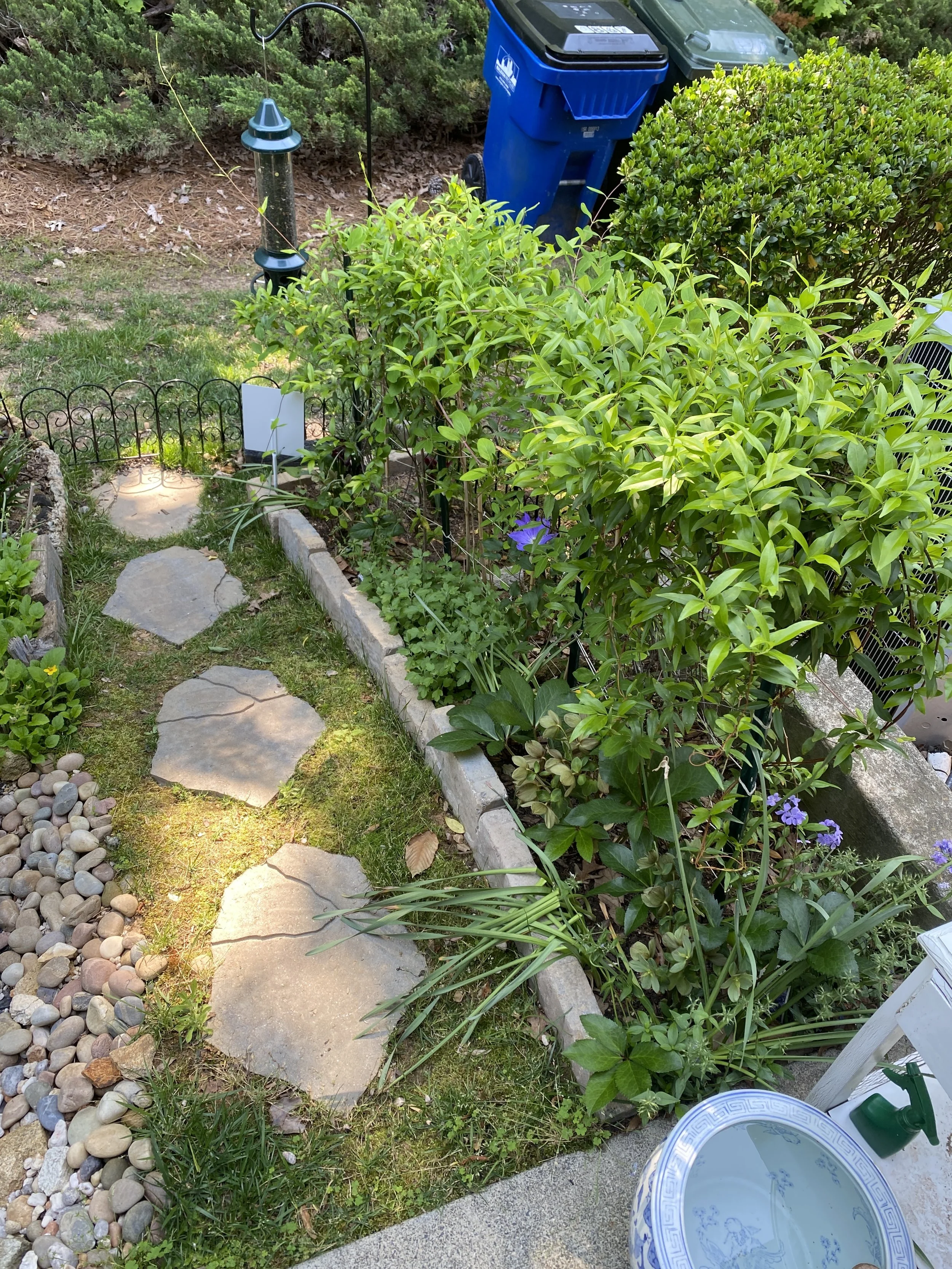 A garden with a stone pathway, green shrubs, flowering plants, a bird feeder, and trash bins in the background.