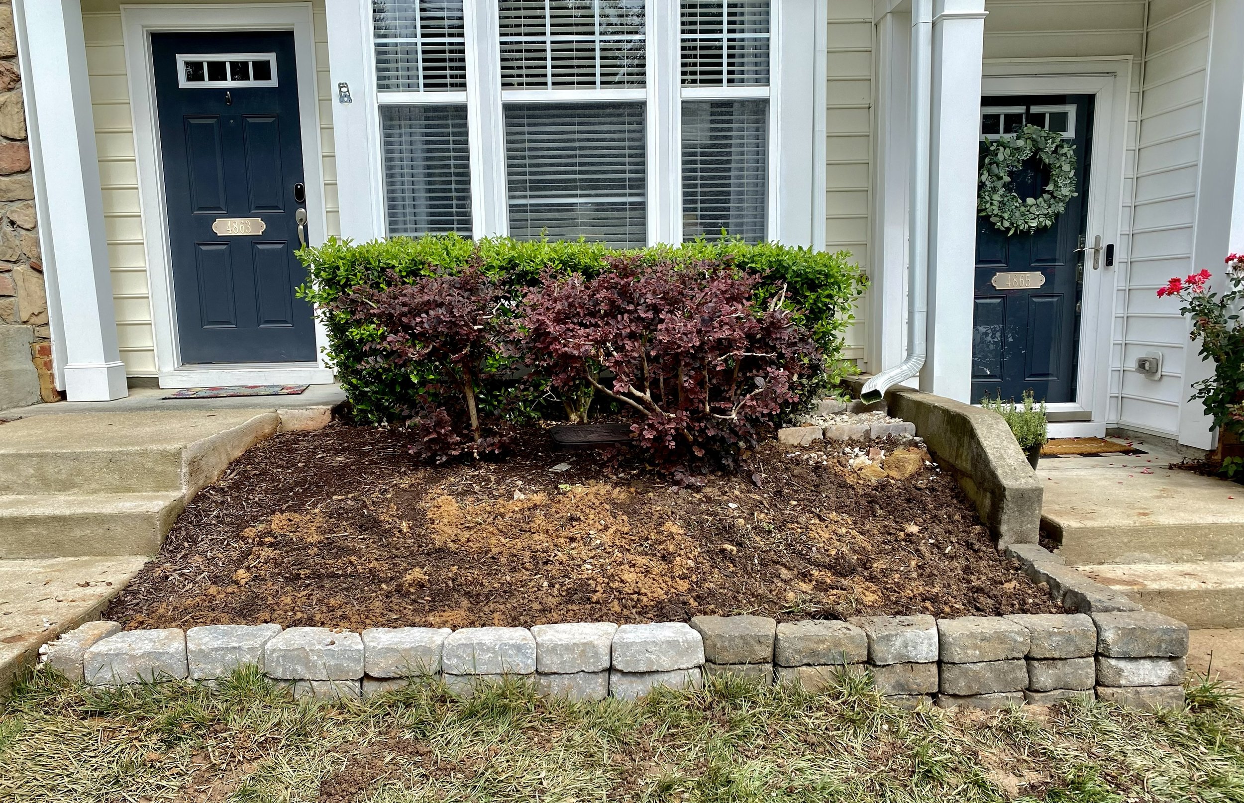 Front yard with a raised flower bed bordered by gray stones, containing a bush with dark purple leaves, in front of a house with two navy blue doors, white siding, and white trim, and a large window with horizontal blinds.