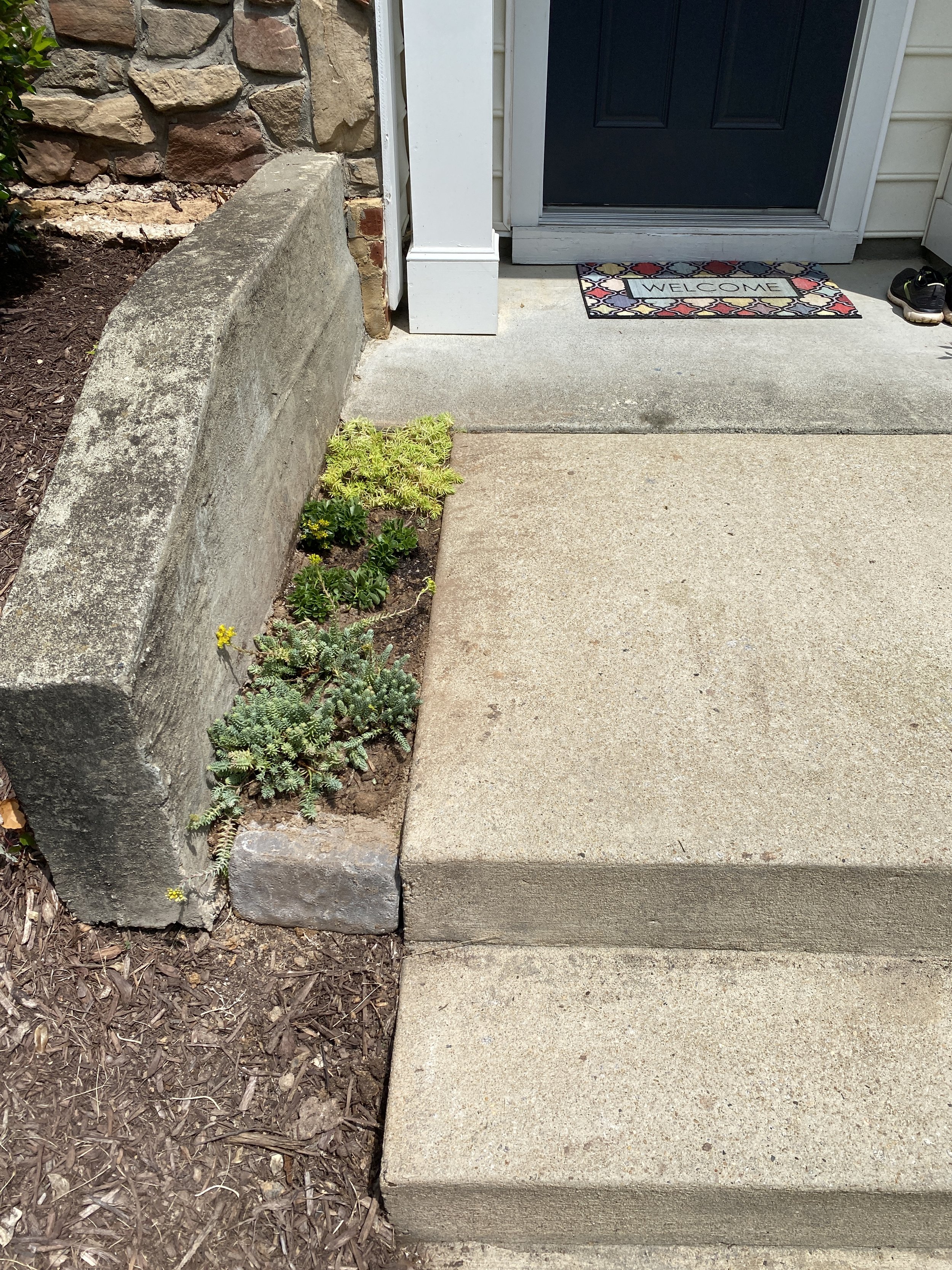 Close-up of a front entrance with a concrete step, a black front door, a colorful welcome mat, and small plants growing beside the sidewalk.