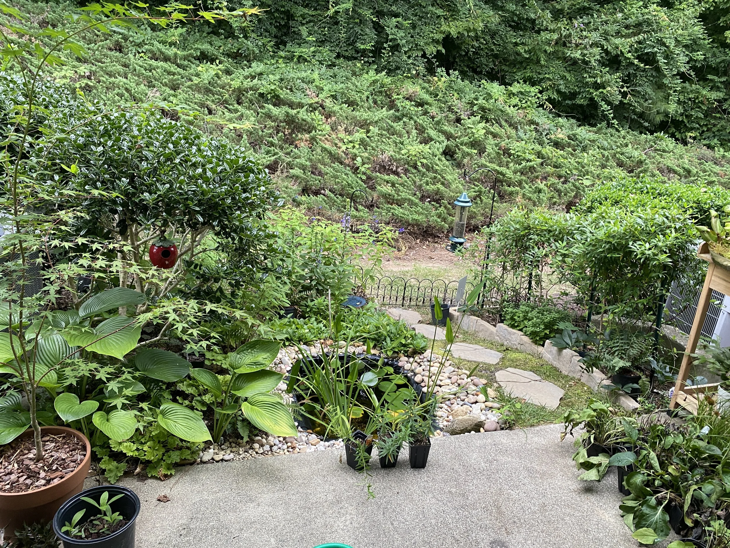 Garden scene with various potted plants, a small pond surrounded by rocks, stepping stones, lush green bushes, and trees in the background.
