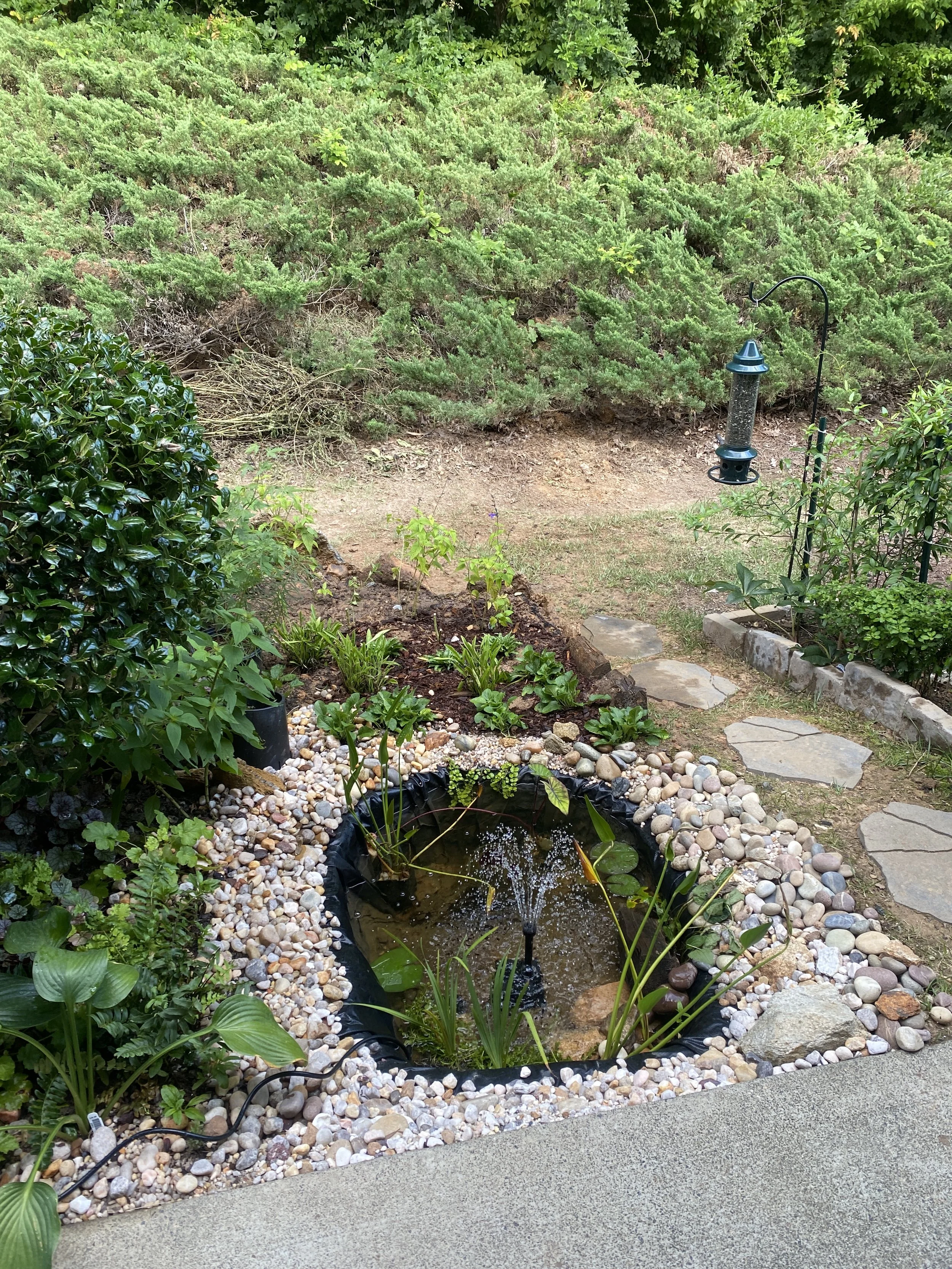 A small garden pond with water lilies and a fountain, surrounded by rocks and border plants. There is a stepping stone pathway leading away from the pond to shrubs and trees.