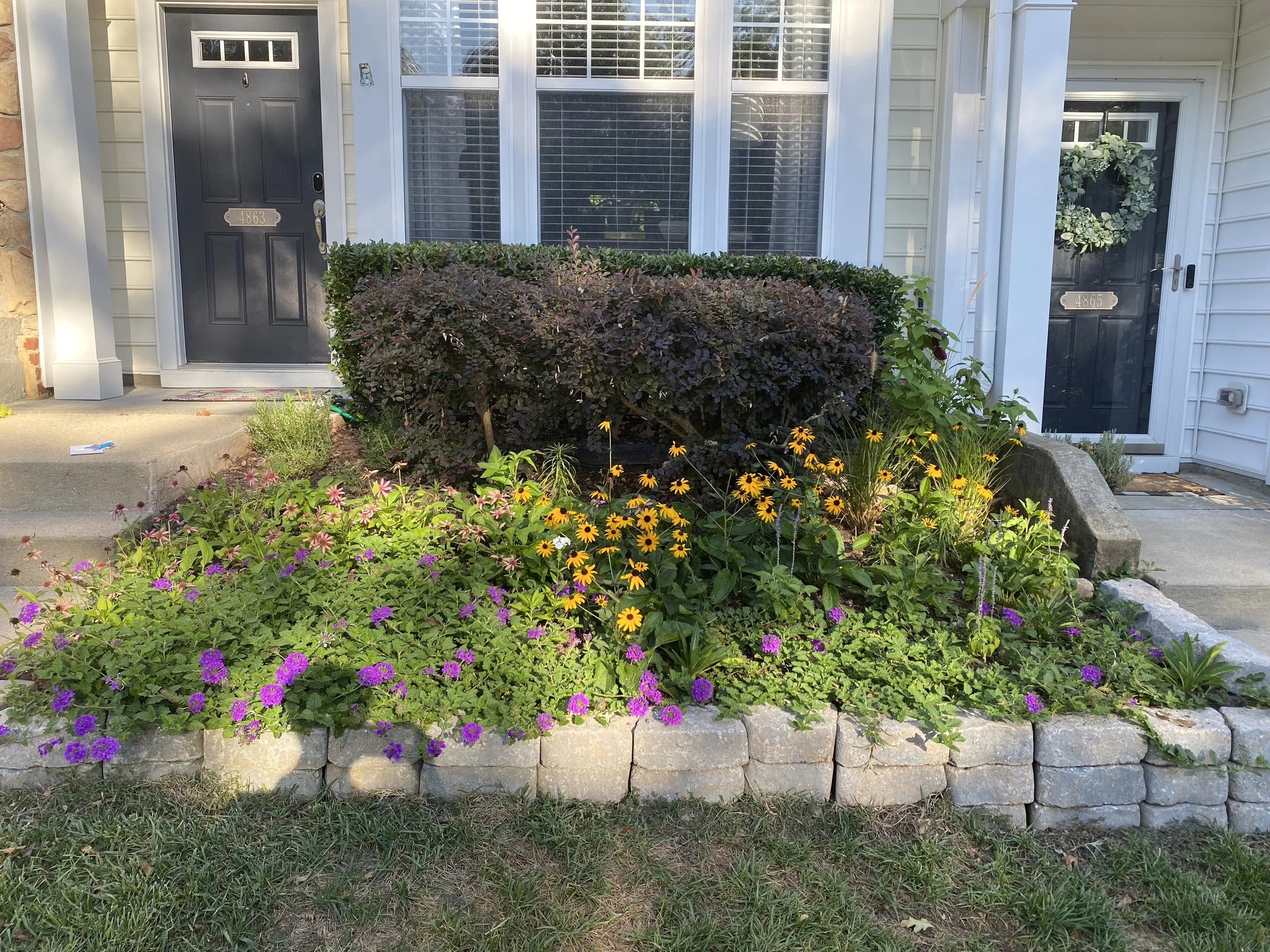 Front yard garden with colorful flowers and shrubs in front of a house with two black doors and large windows.