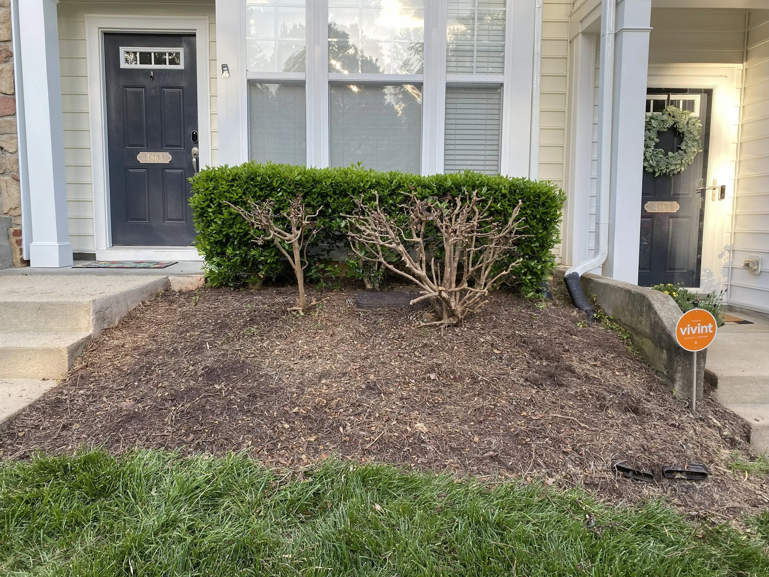 Front yard of a house with two black doors, one on each side, with wreaths and house numbers. In the middle, there is a small garden bed with trimmed bushes, surrounded by some grass and soil.