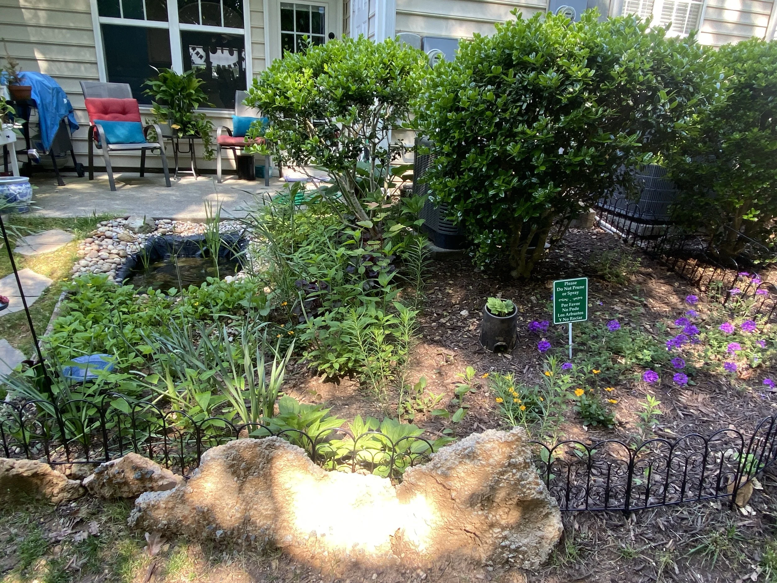 A well-maintained backyard garden with a small pond bordered by pebbles, surrounded by lush green shrubs and plants. There are colorful flowering plants, a small sign requesting no pruning or spraying, and outdoor patio furniture with several chairs and cushions in the background.