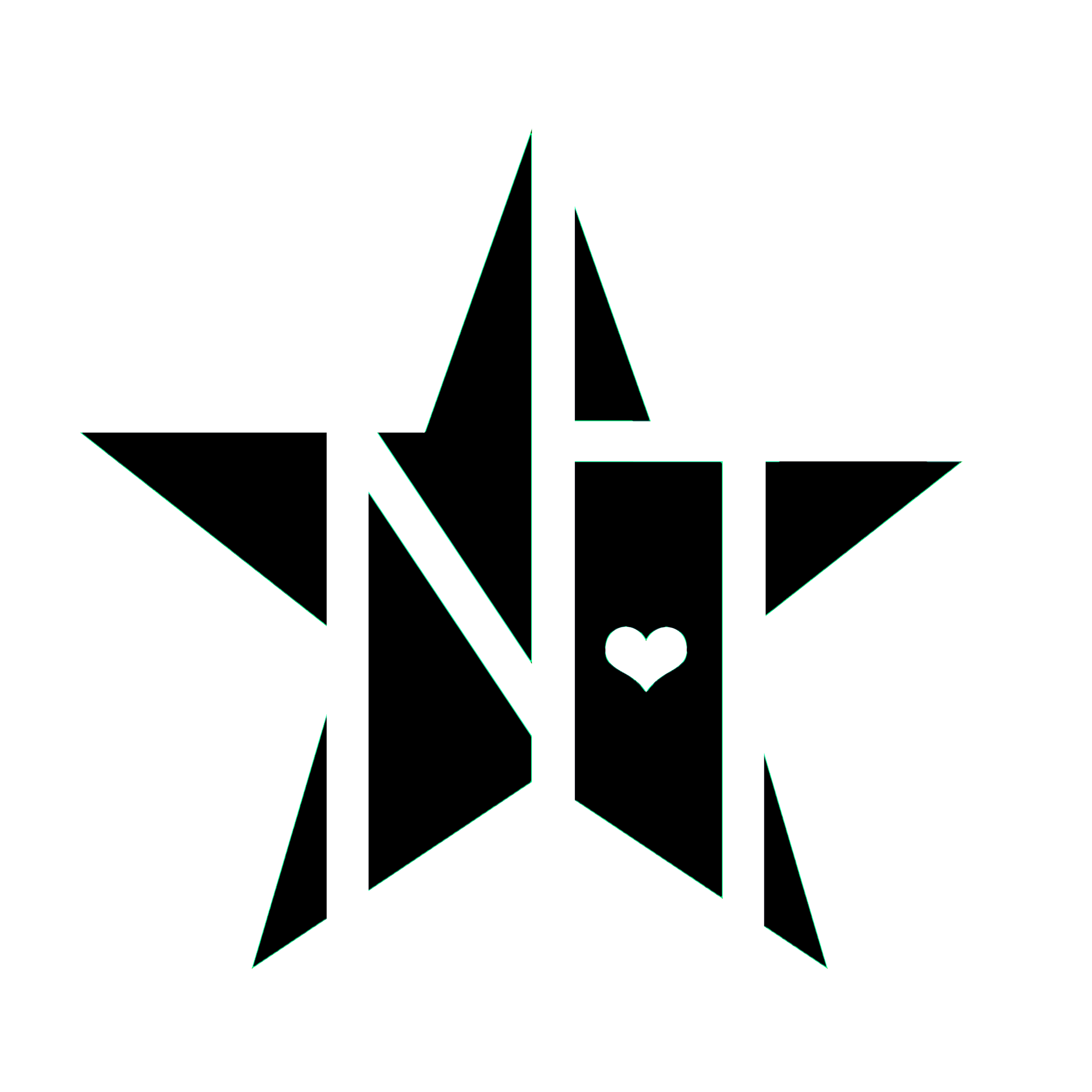 NT STAR LOGO copy.png