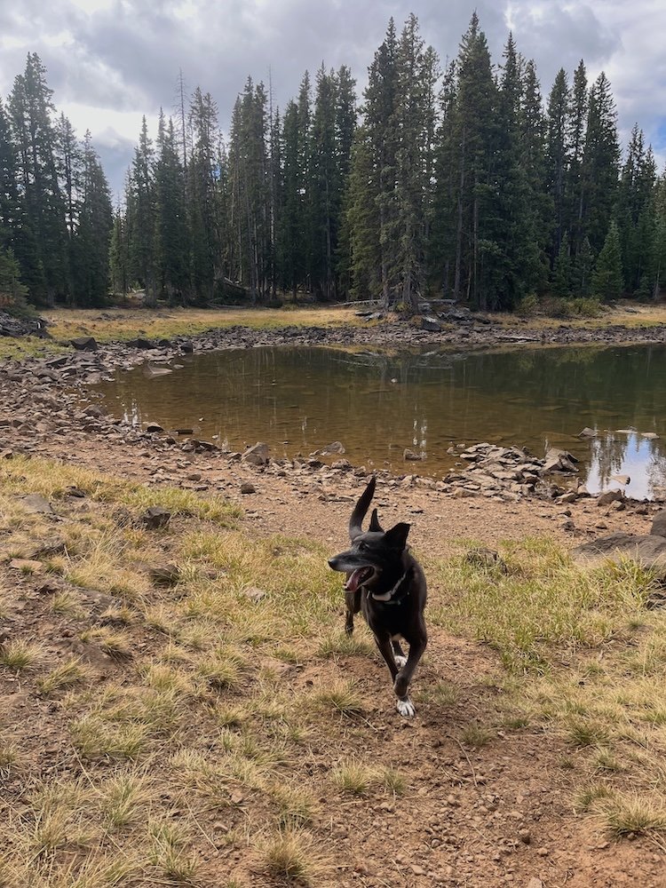 Richard at mesa pond.jpg