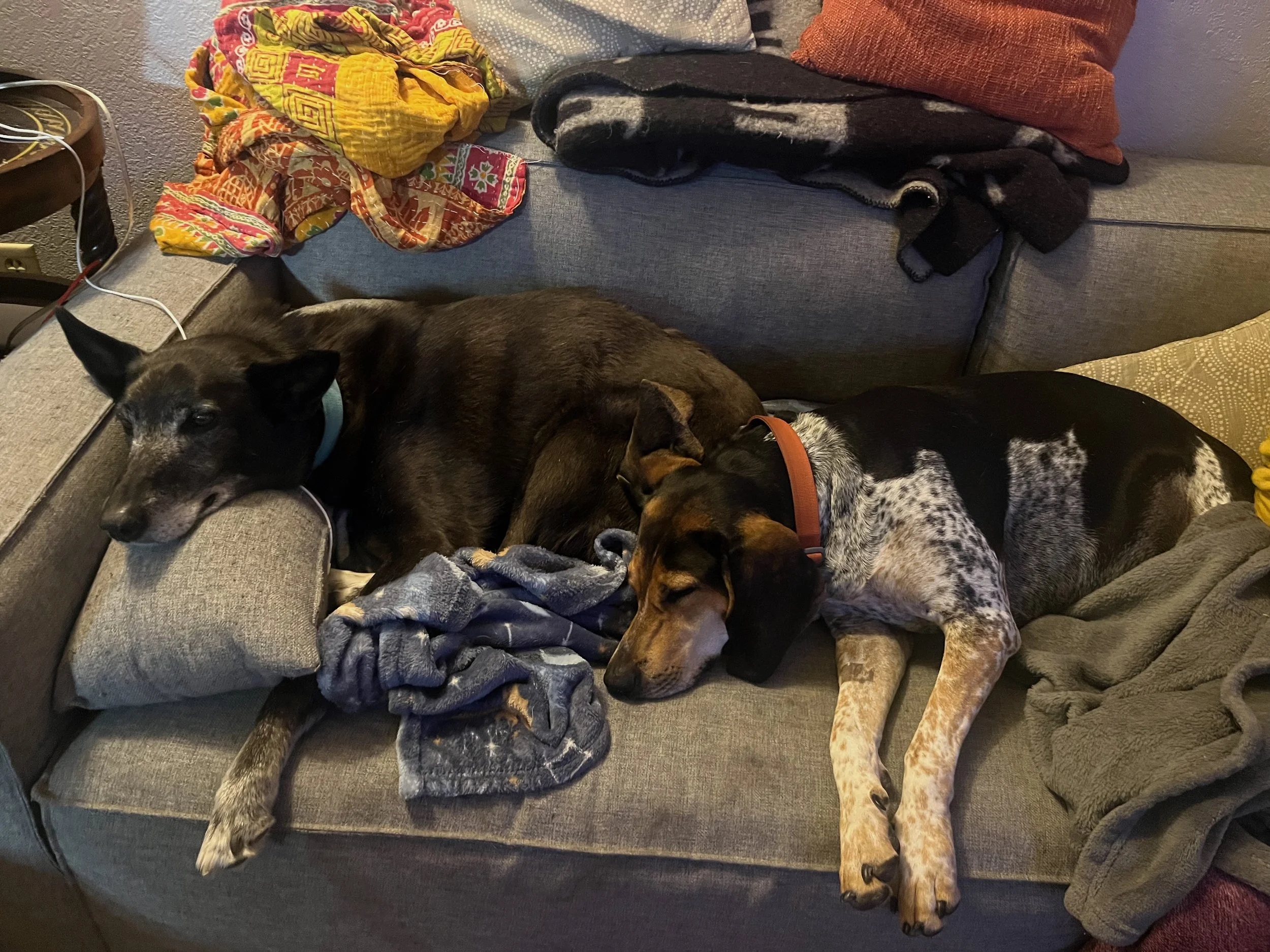 Picture and Petra on Couch.jpg