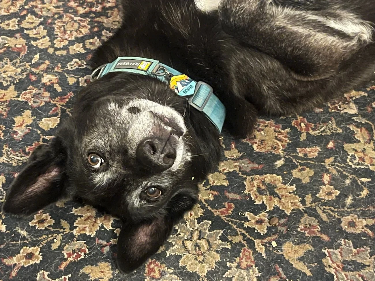 Richard silly on floor.jpeg