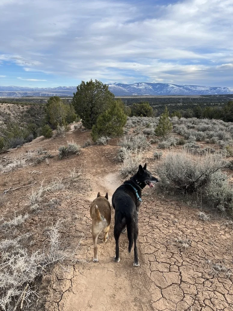 desert bros at the Hog.JPG