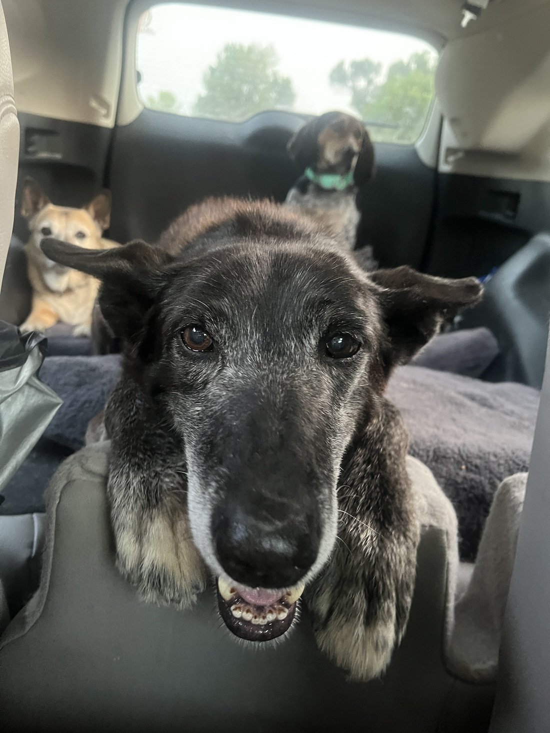 Happy backseat Richard.JPG