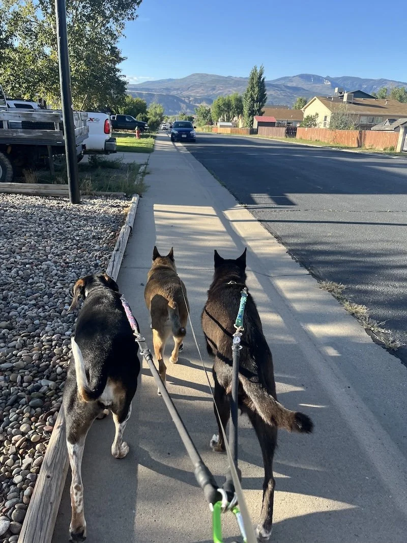 Neighborhood tra.jpg