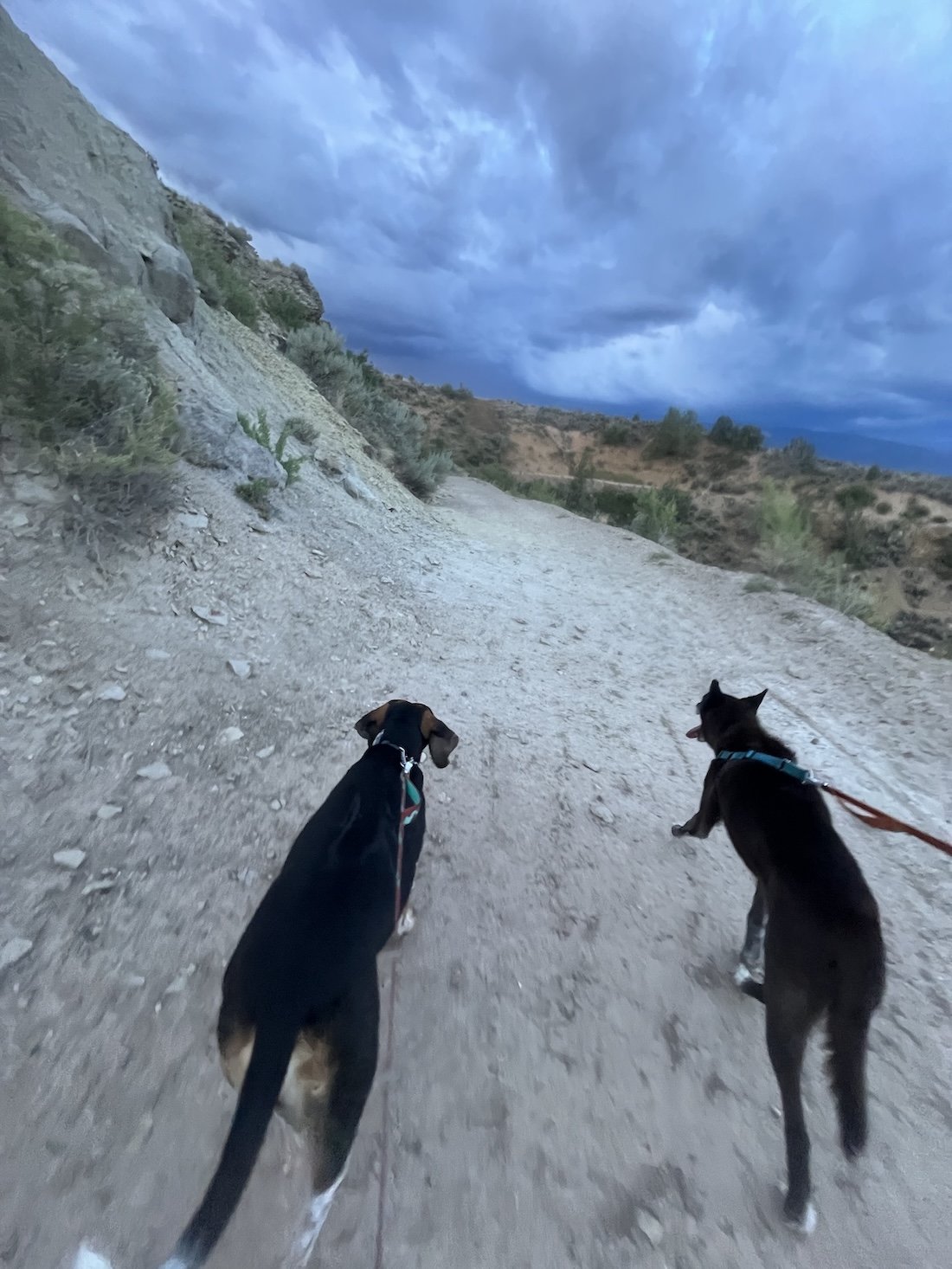 Richard and Petra running on the Cliffy trail.JPG
