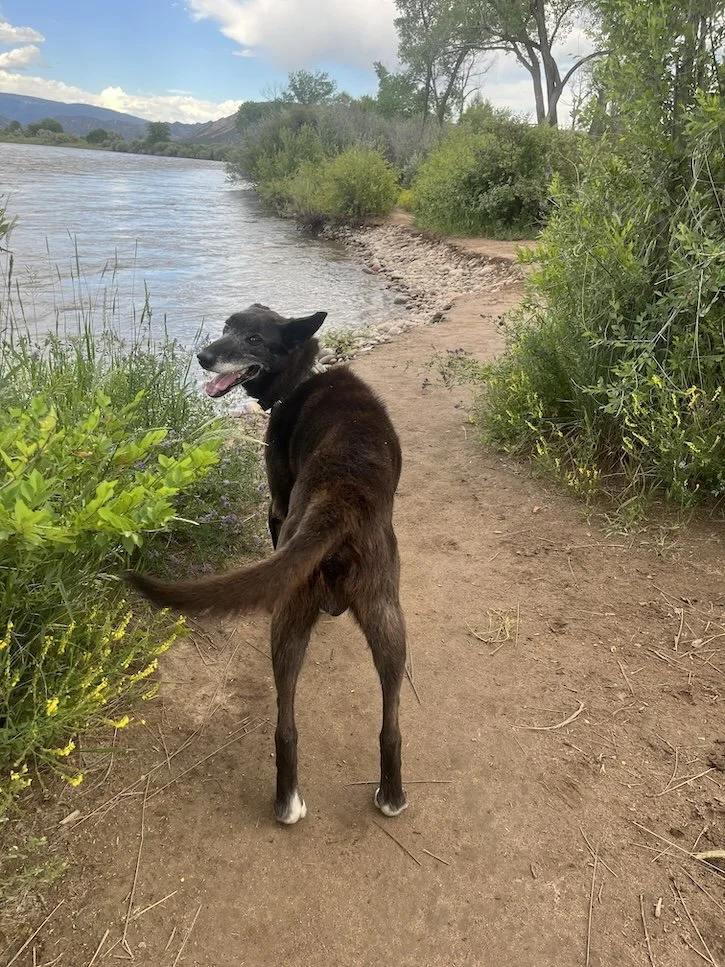 Richard looking back at the river.jpg