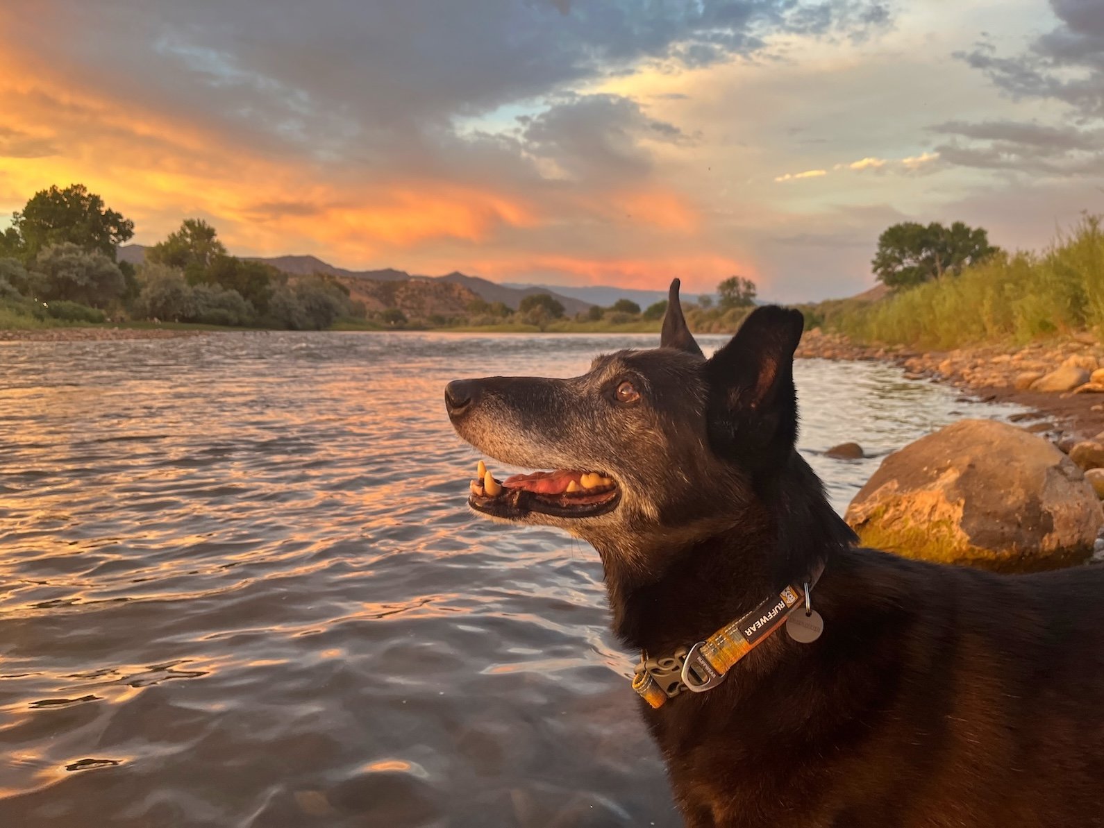 Richard marveling at the river sunset.jpg