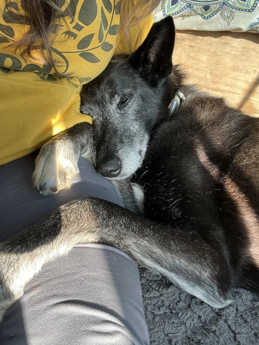 Richard snuggling Mom in the van.jpg