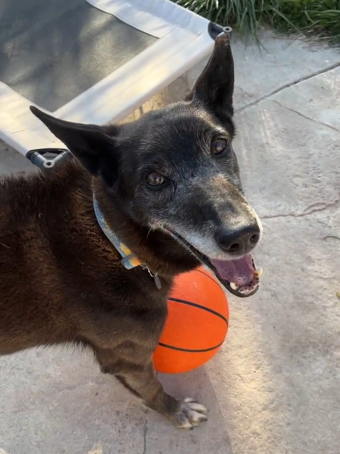 Richard with a basketball.jpg