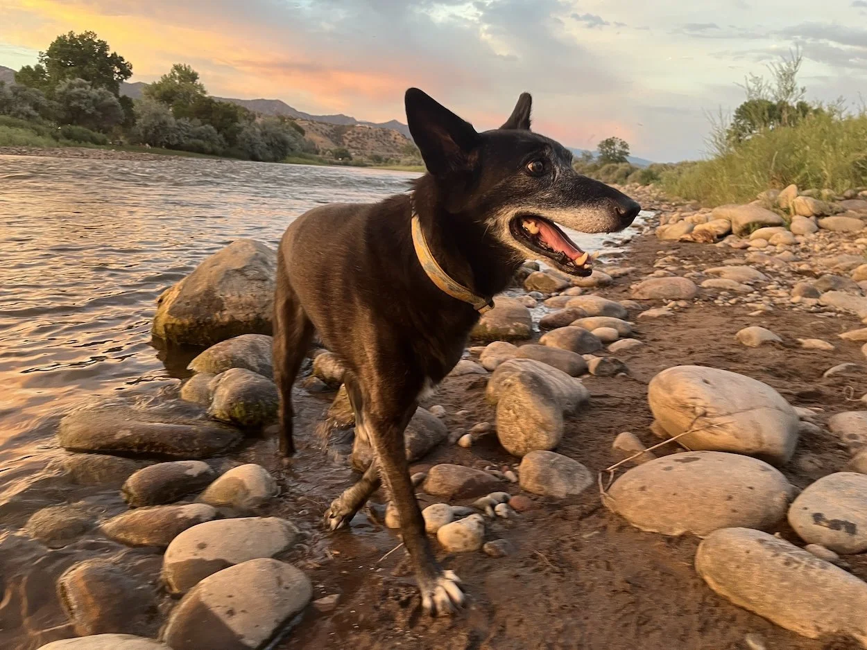 River sunset Richard.JPG