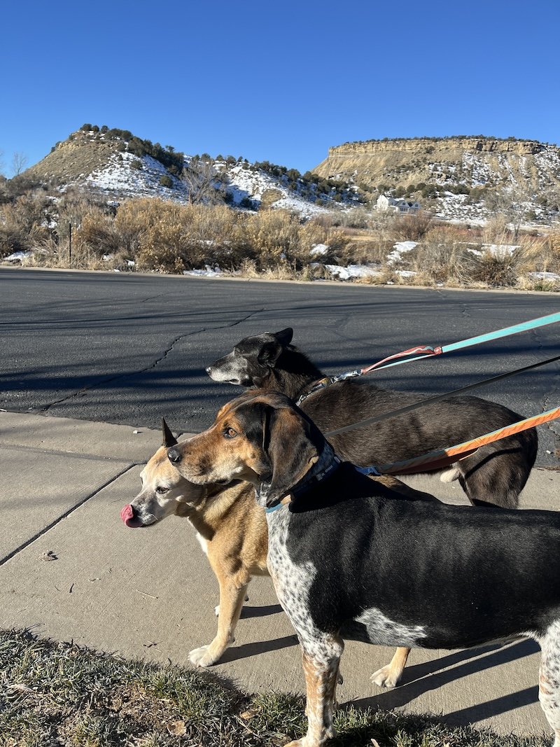 Triple tra by Cliffy.JPG