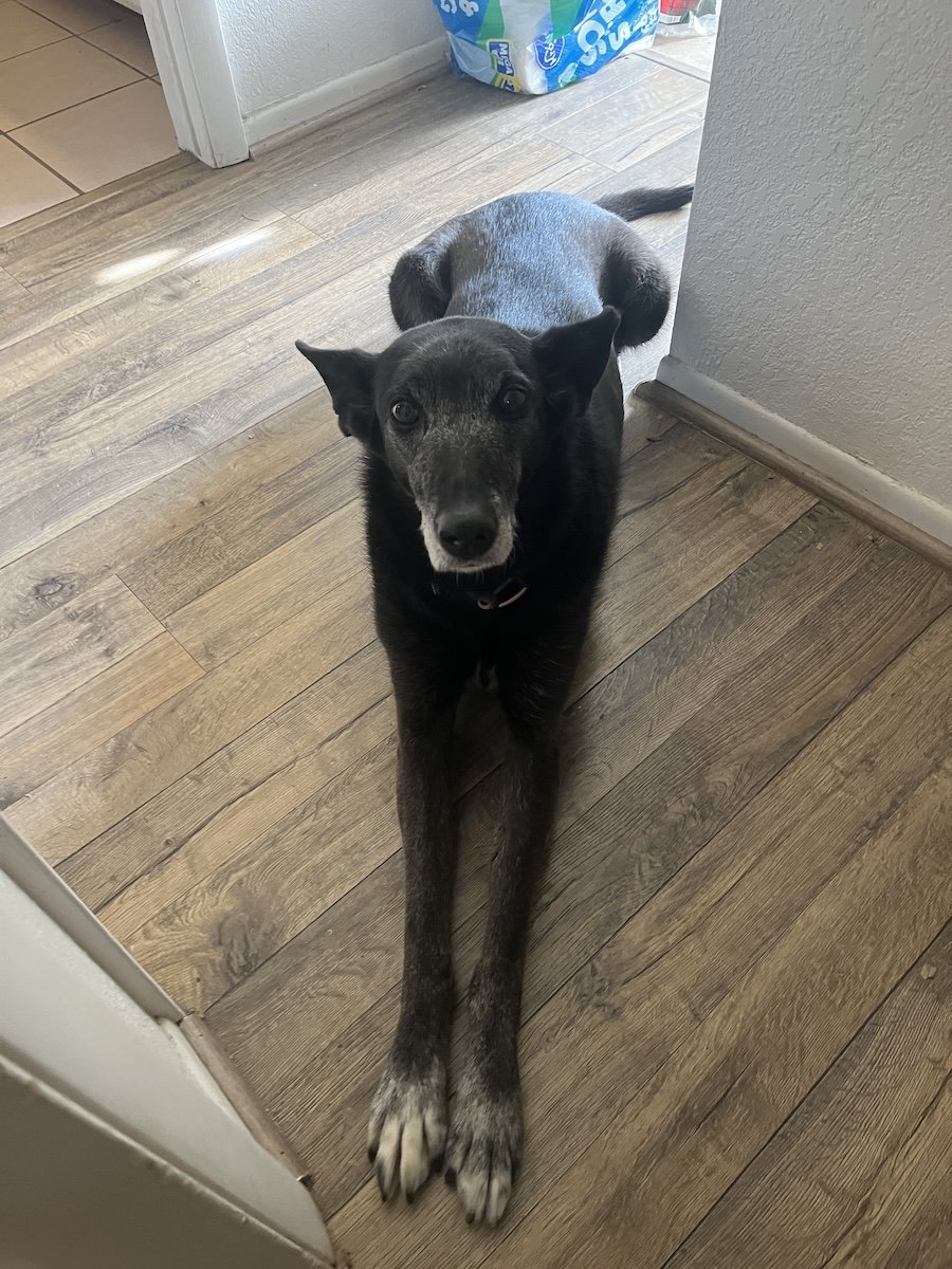 Tweezer Tootsies.JPG