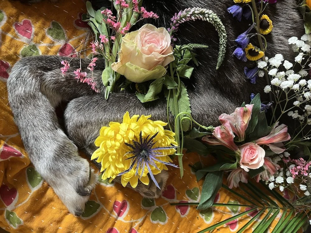 Richard's flower tootsies.jpg