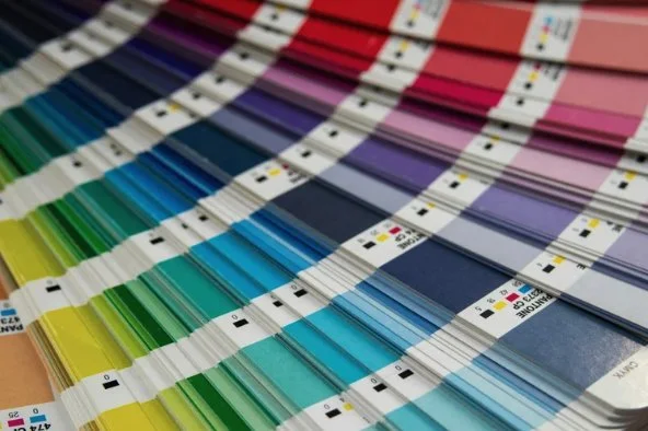 Color Your Story: How to Use Color Like a Pro in Your Yearbook Spread