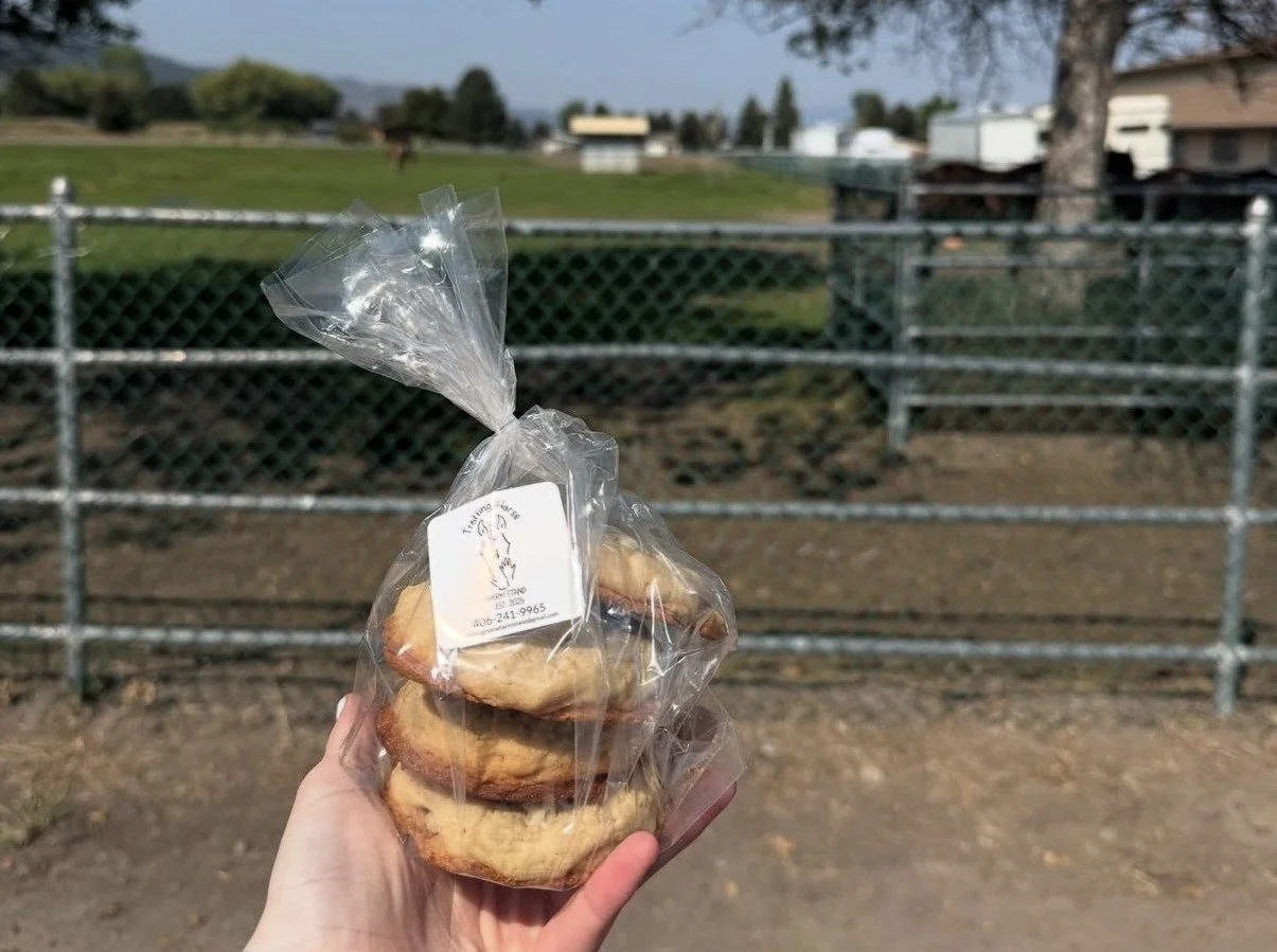 6 pack sourdough chocolate chip cookies