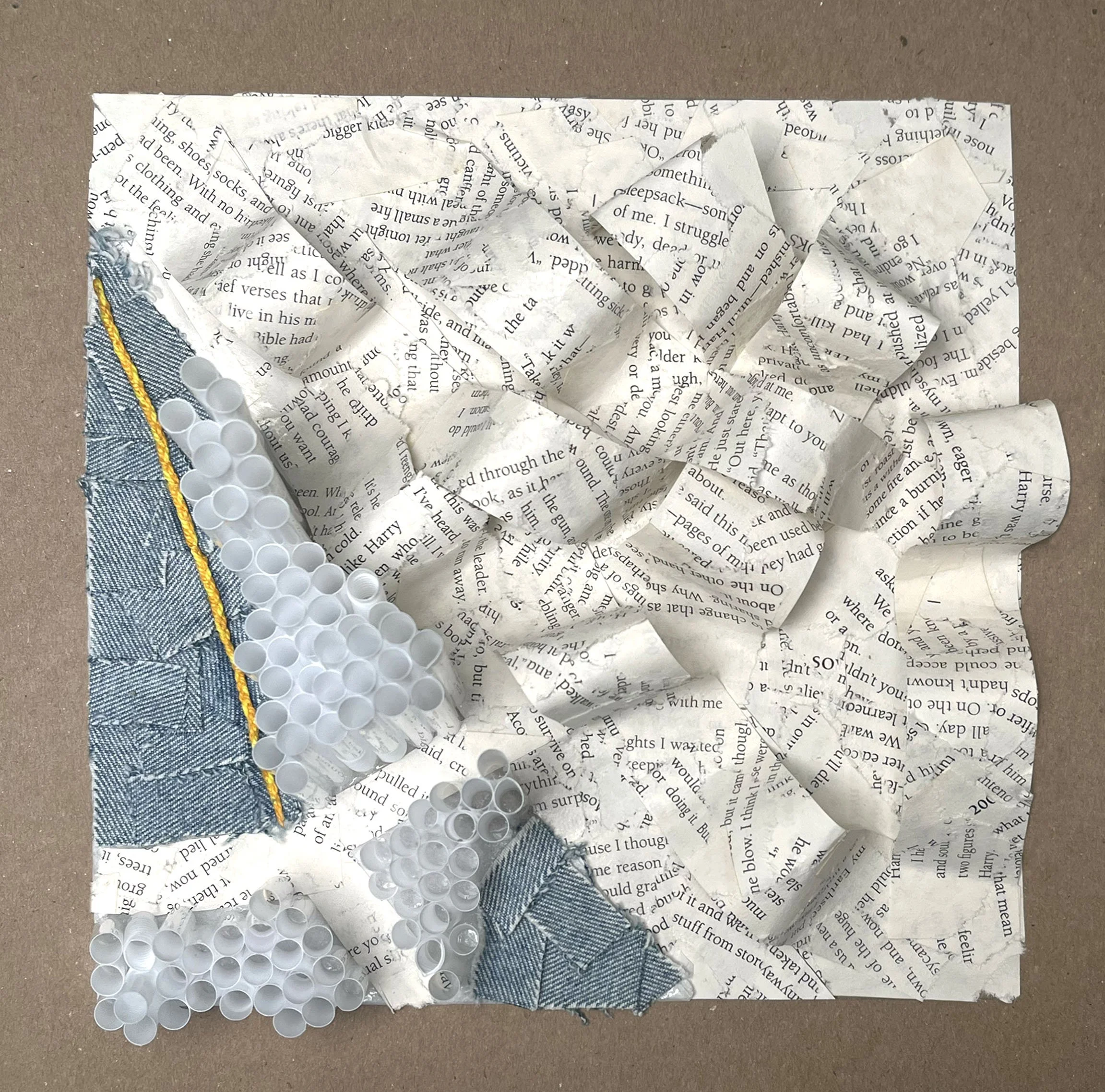 Samantha_Smith_Collage#2reedit copy.jpg