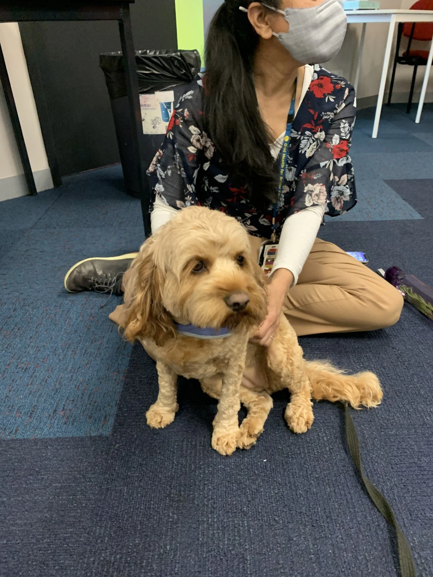 How Therapy Dog–Assisted Wellbeing Sessions Support Children