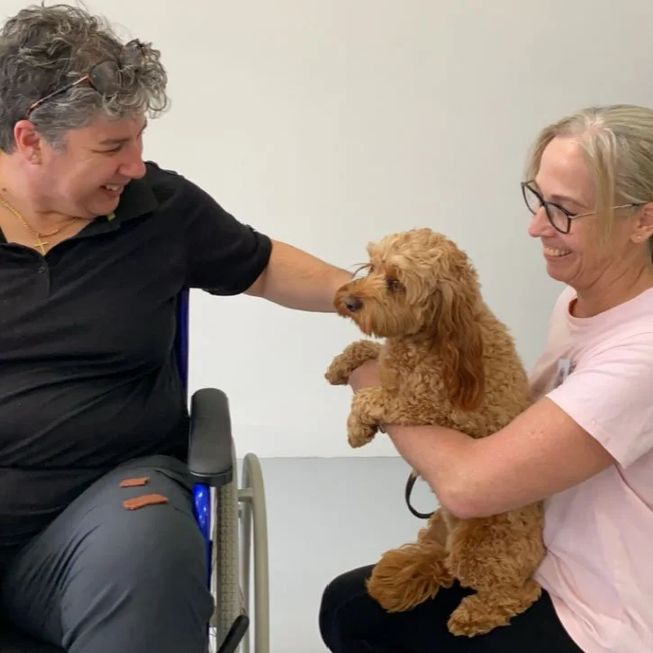 Counselling session with a therapy dog