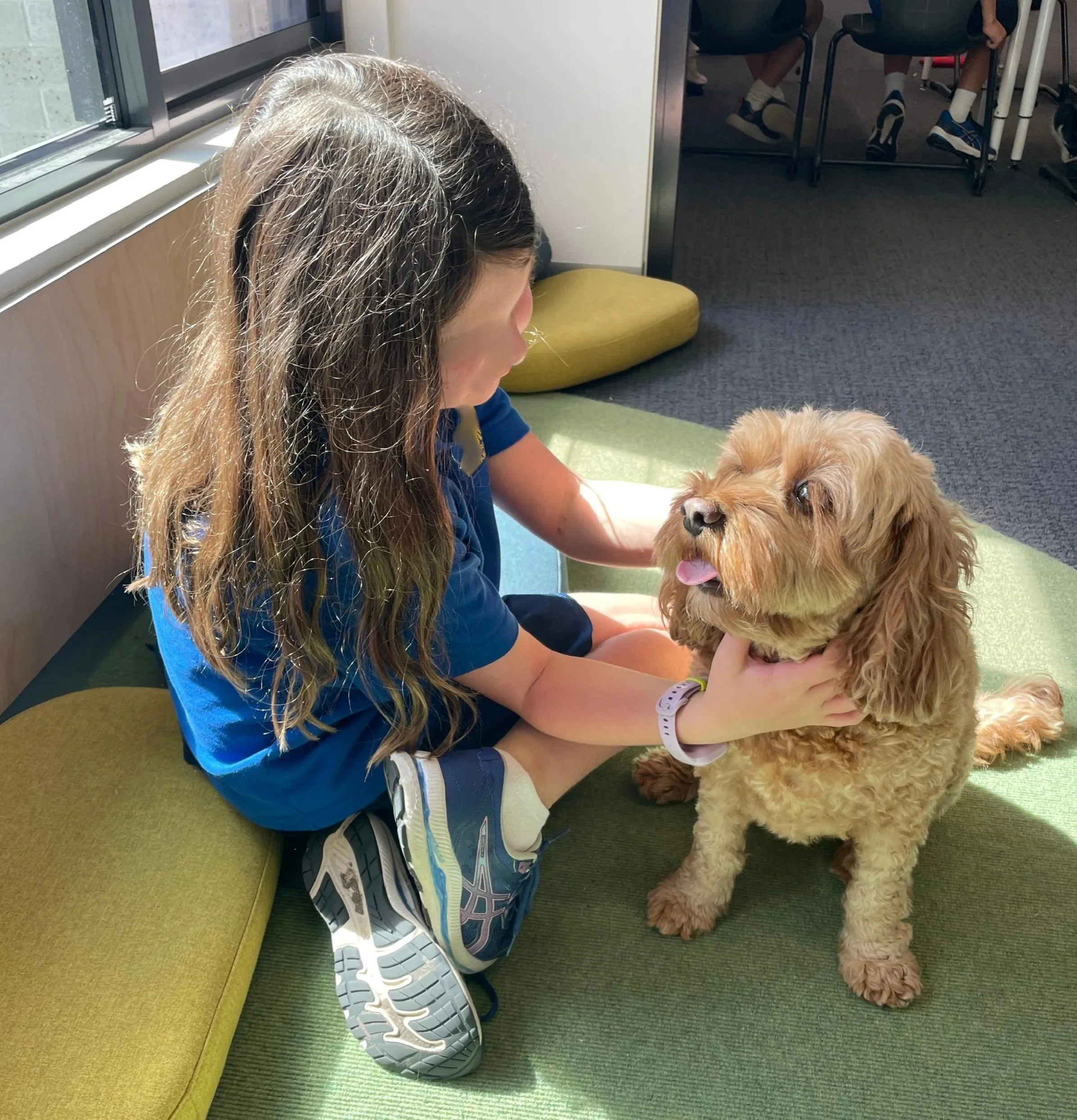Counselling session with a therapy dog