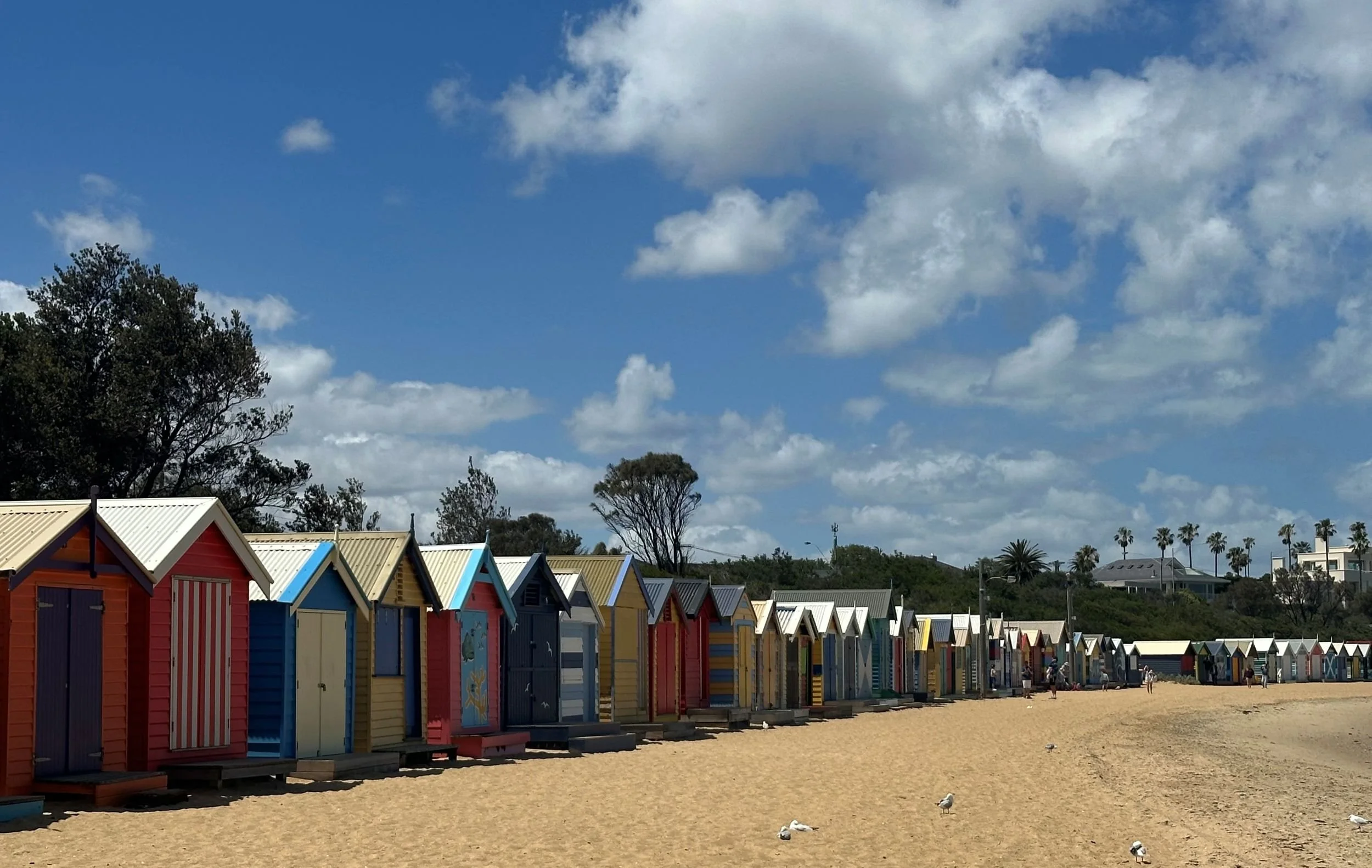 Brighton bathing boxes on the Bayside Melbourne coastline