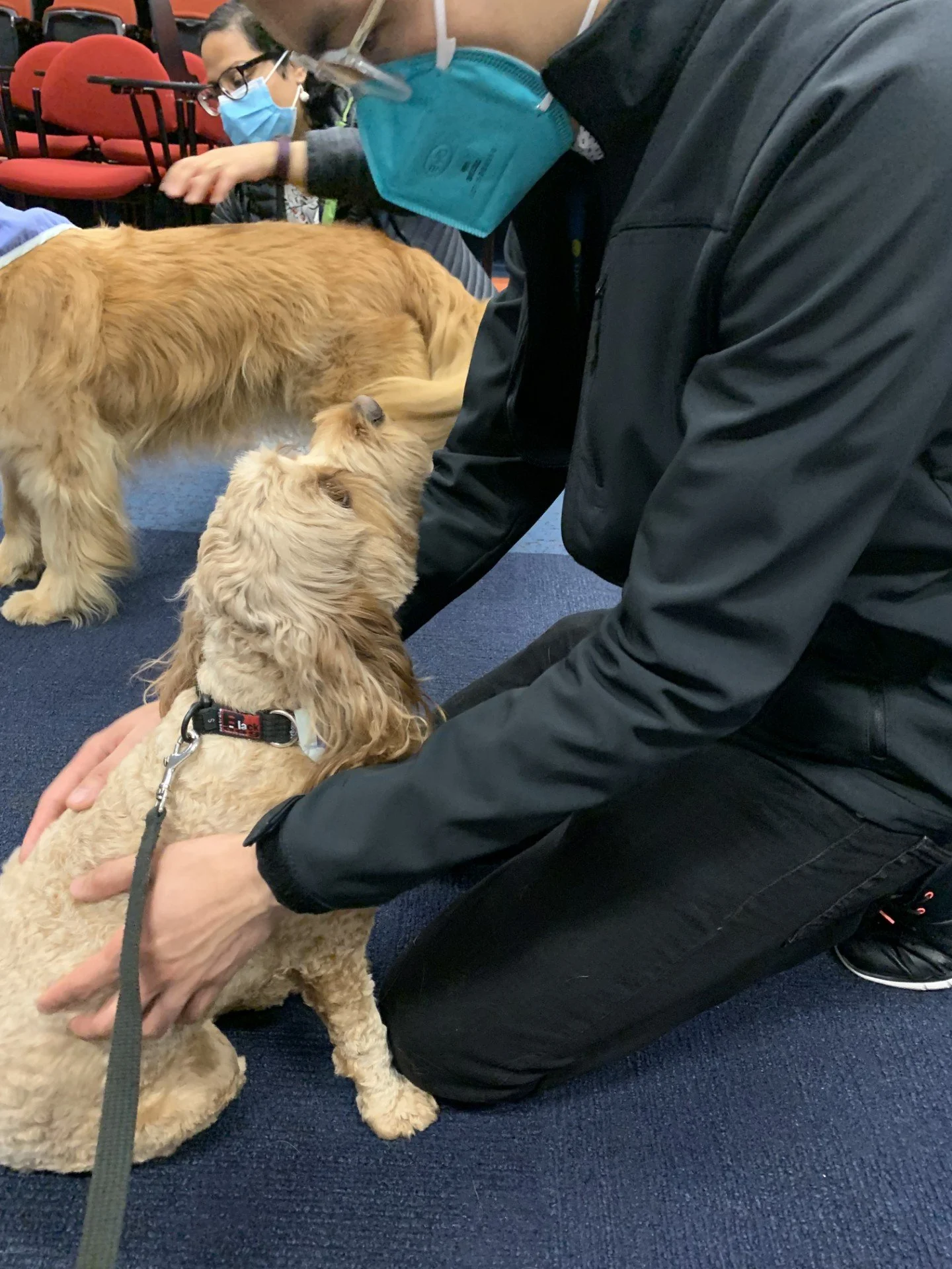 Winnie providing animal assisted therapy