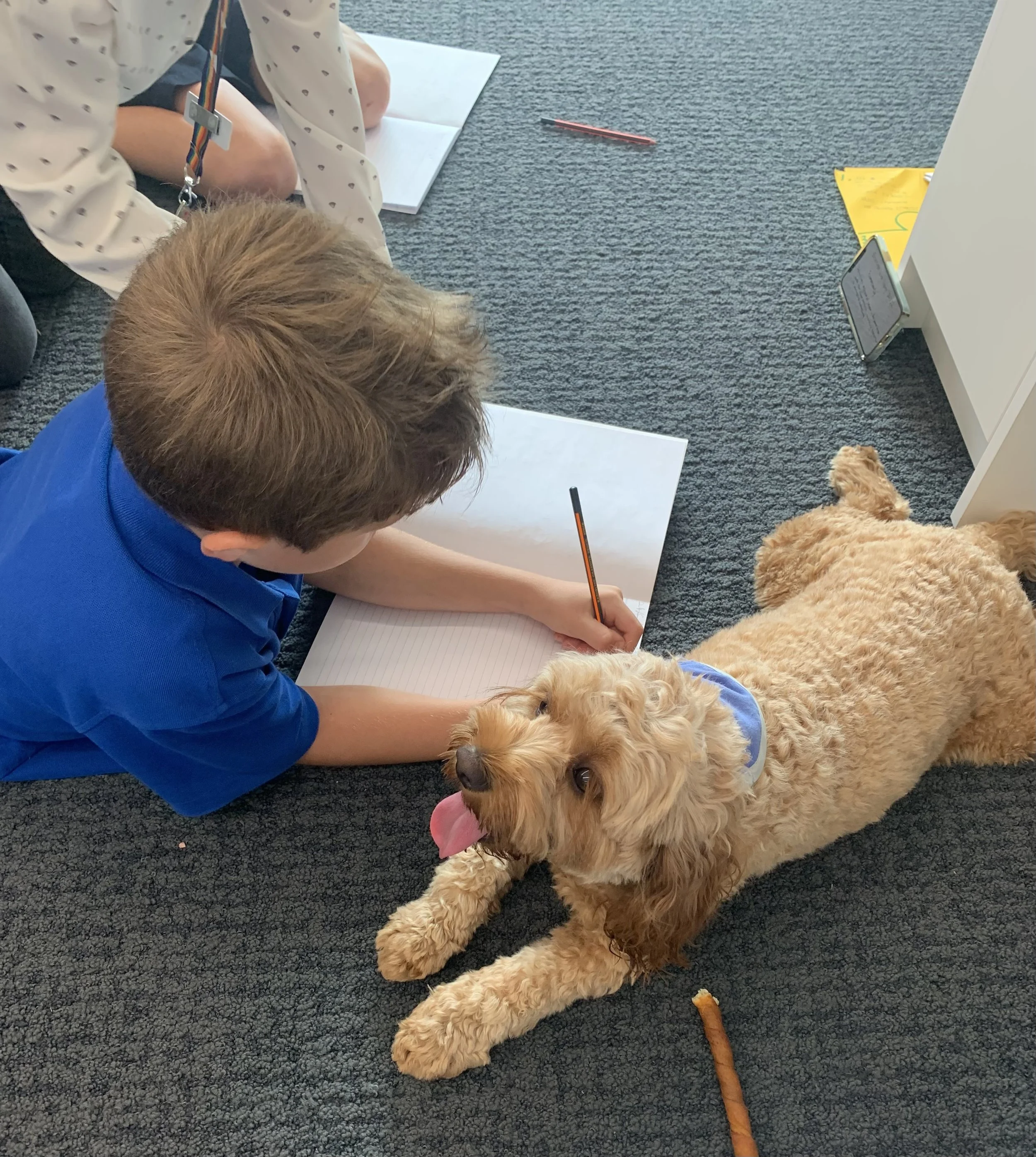 Counselling session with a therapy dog