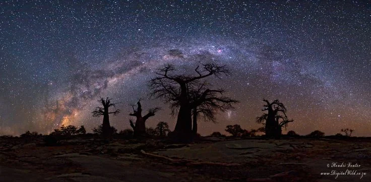 Experience the magic of africa