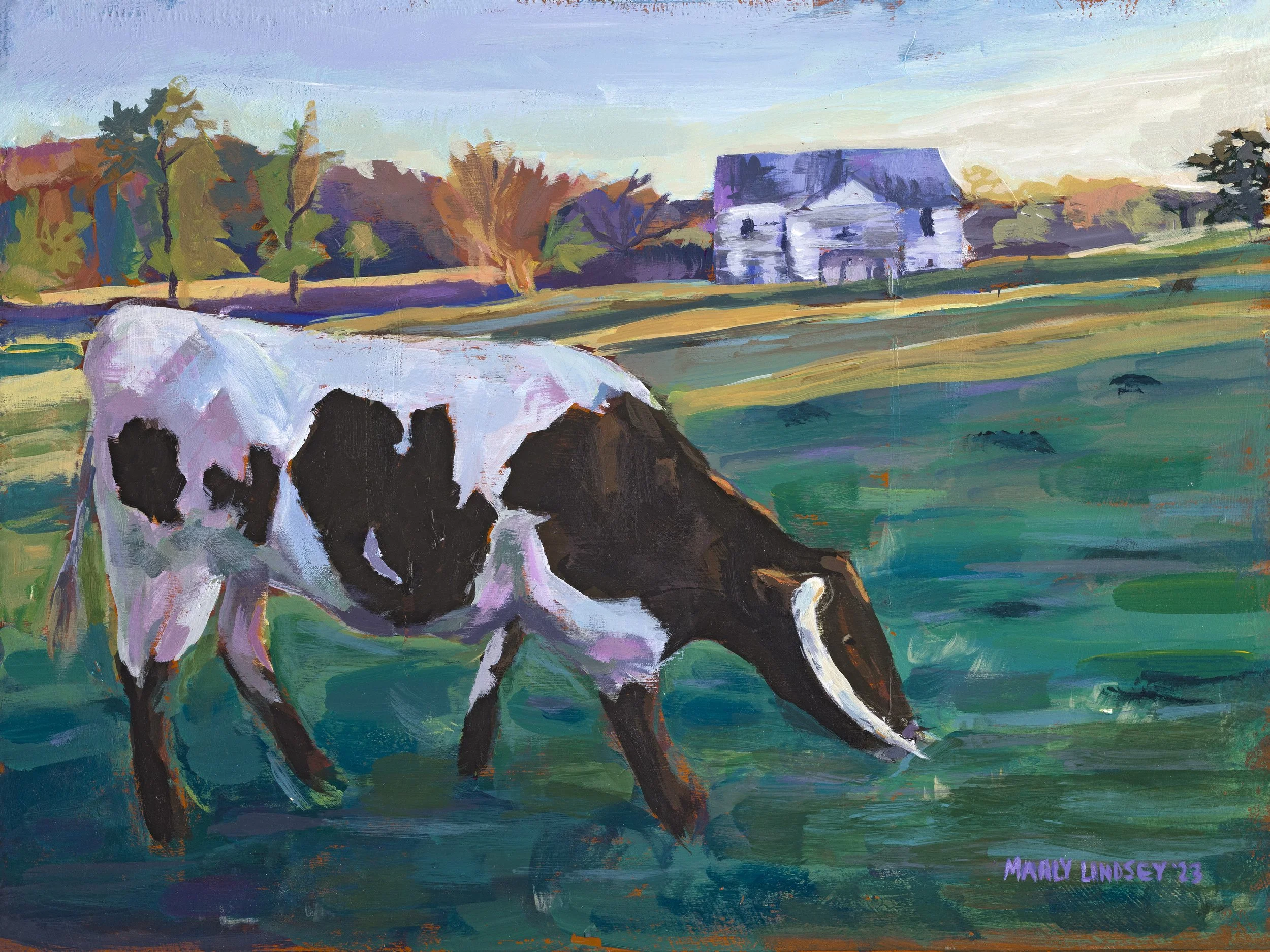 Willie At Kirkpatricks Farm