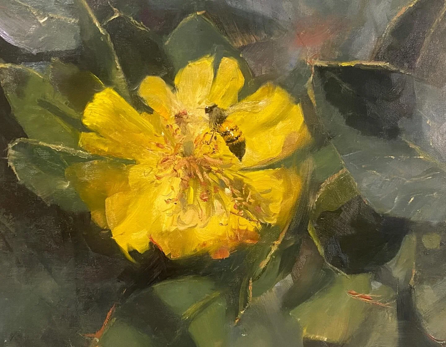 Oil on canvas paper 11&rdquo;x14&rdquo;
#landscapepaintings #art #painting #art #artwork #fineart #paintingknifeart #paintingknife #palateknifepainting  #oilpainting #artistsoninstagram #paintingfromlife #dailypainting  #flowerpainting #bee #national